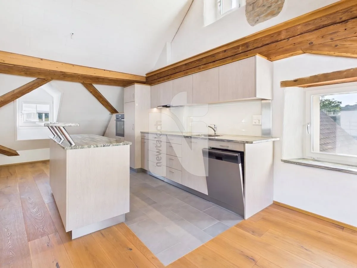 Charmant appartement maisonnette rénové avec ascenseur, balcon et tour de buanderie privée