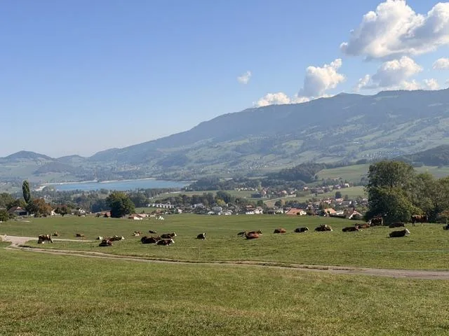 Detached house in usufruct with a view of the lake and the mountains