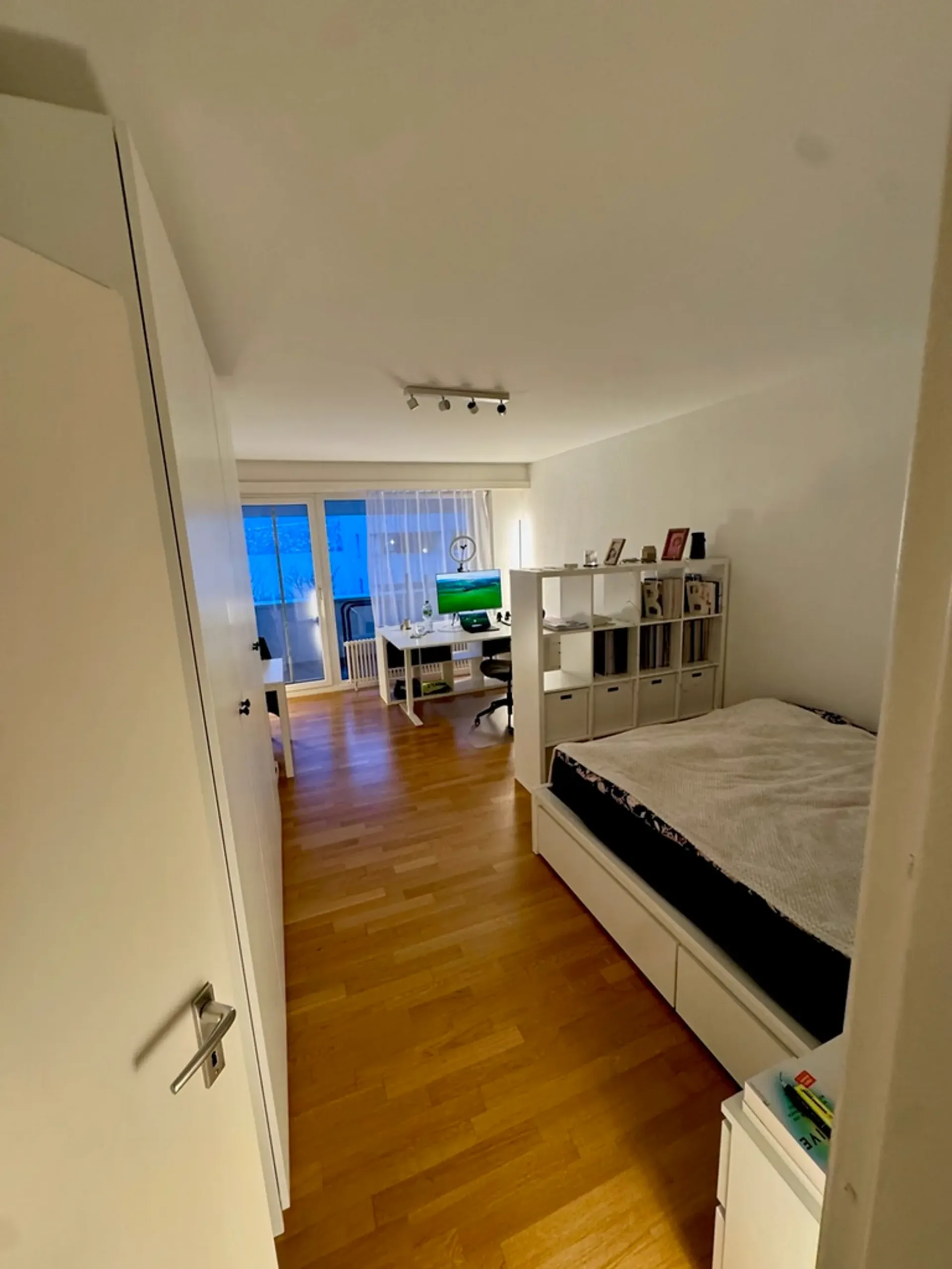Appartement 1 pièce au cœur de Thalwil