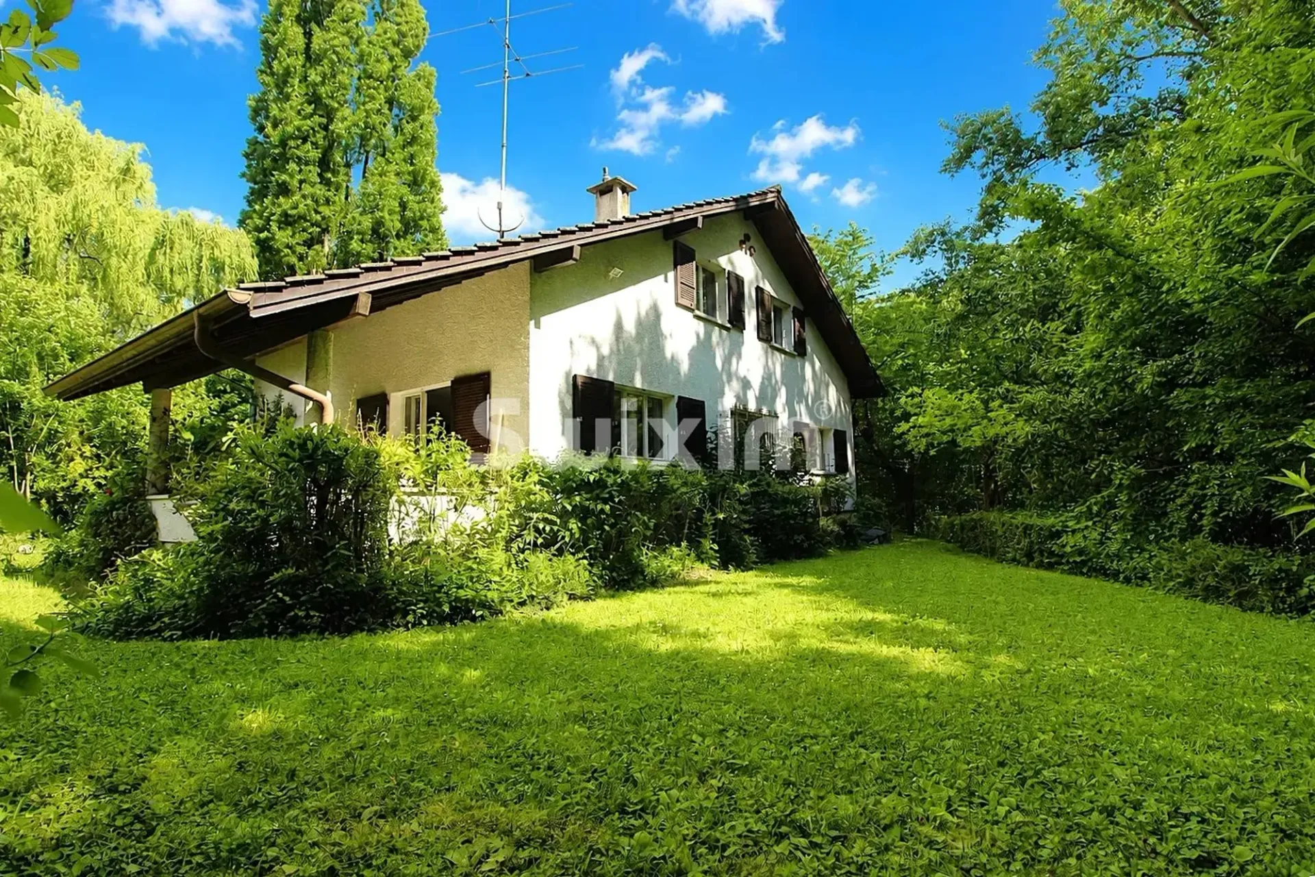 Maison individuelle dans un écrin de verdure