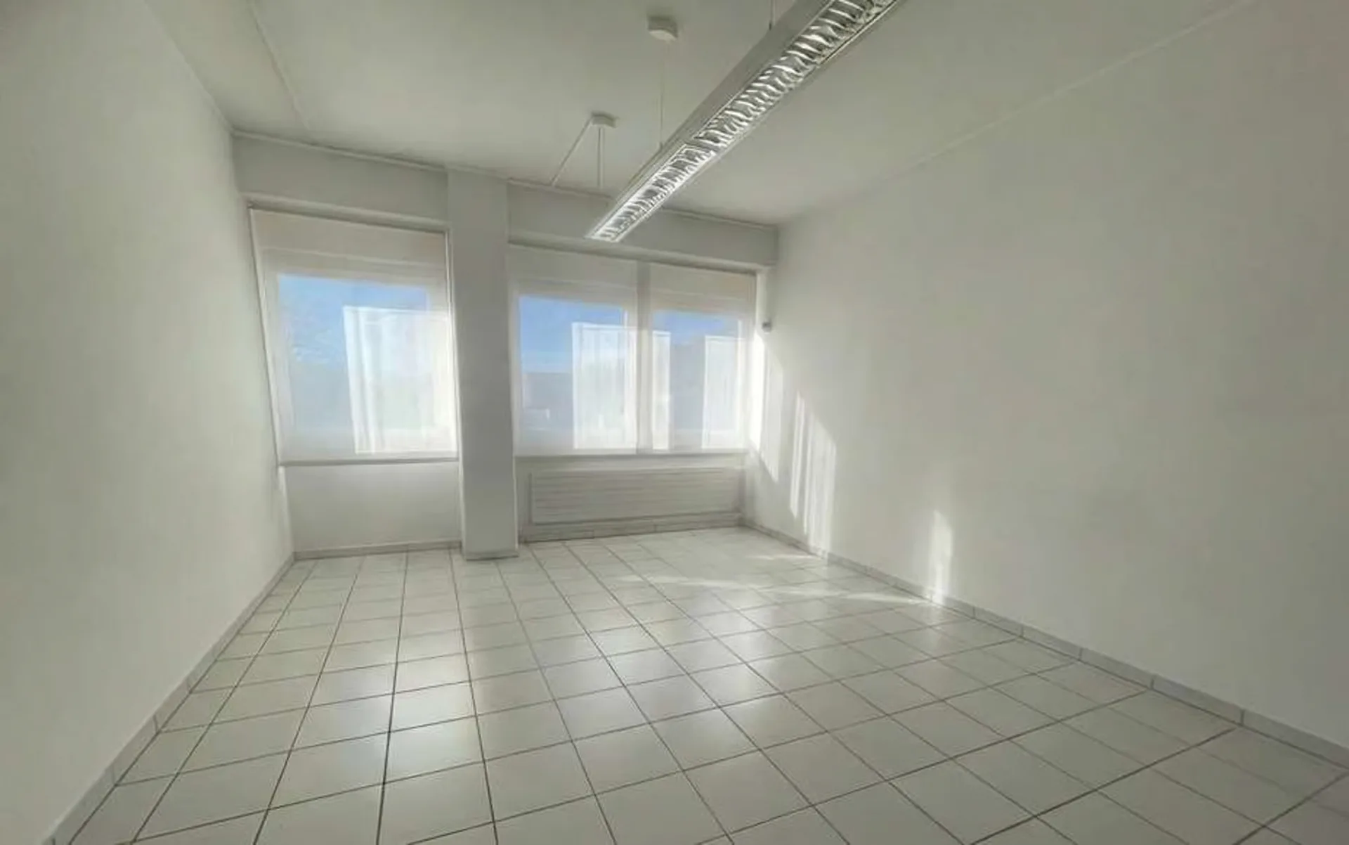 Bürofläche 4 Räume zu vermieten - Manno