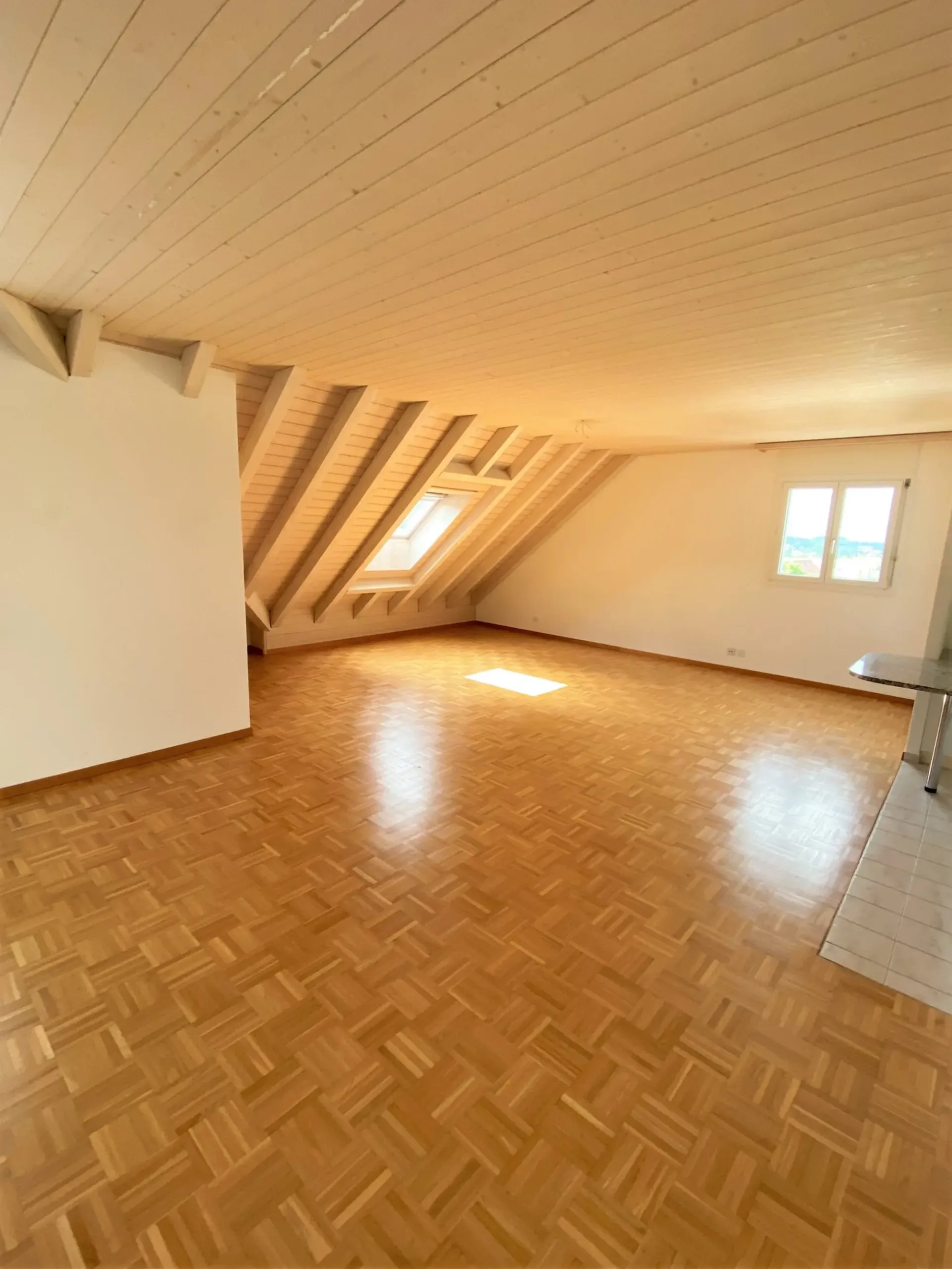 grosse helle Dachwohnung mit viel Charme