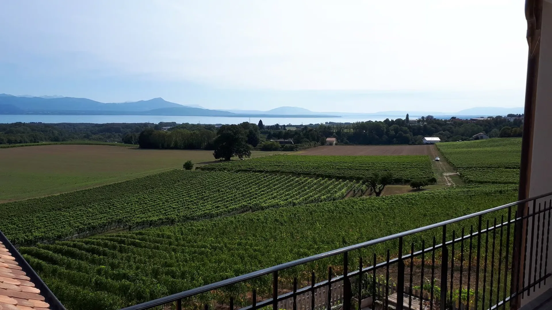 Helles 4.5-Zimmer-Wohnung mit Panoramablick in Lavigny