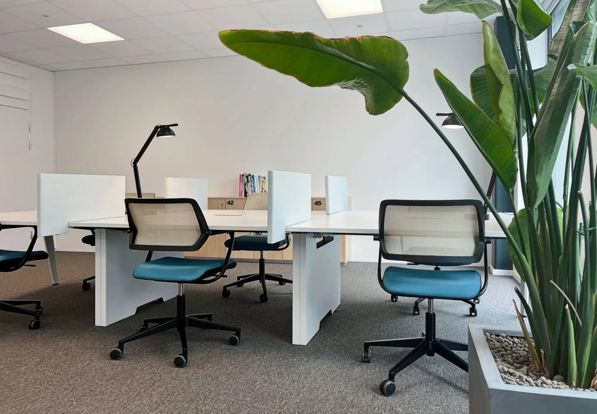 Privater Büroraum für 40 in Regus Dammstrasse