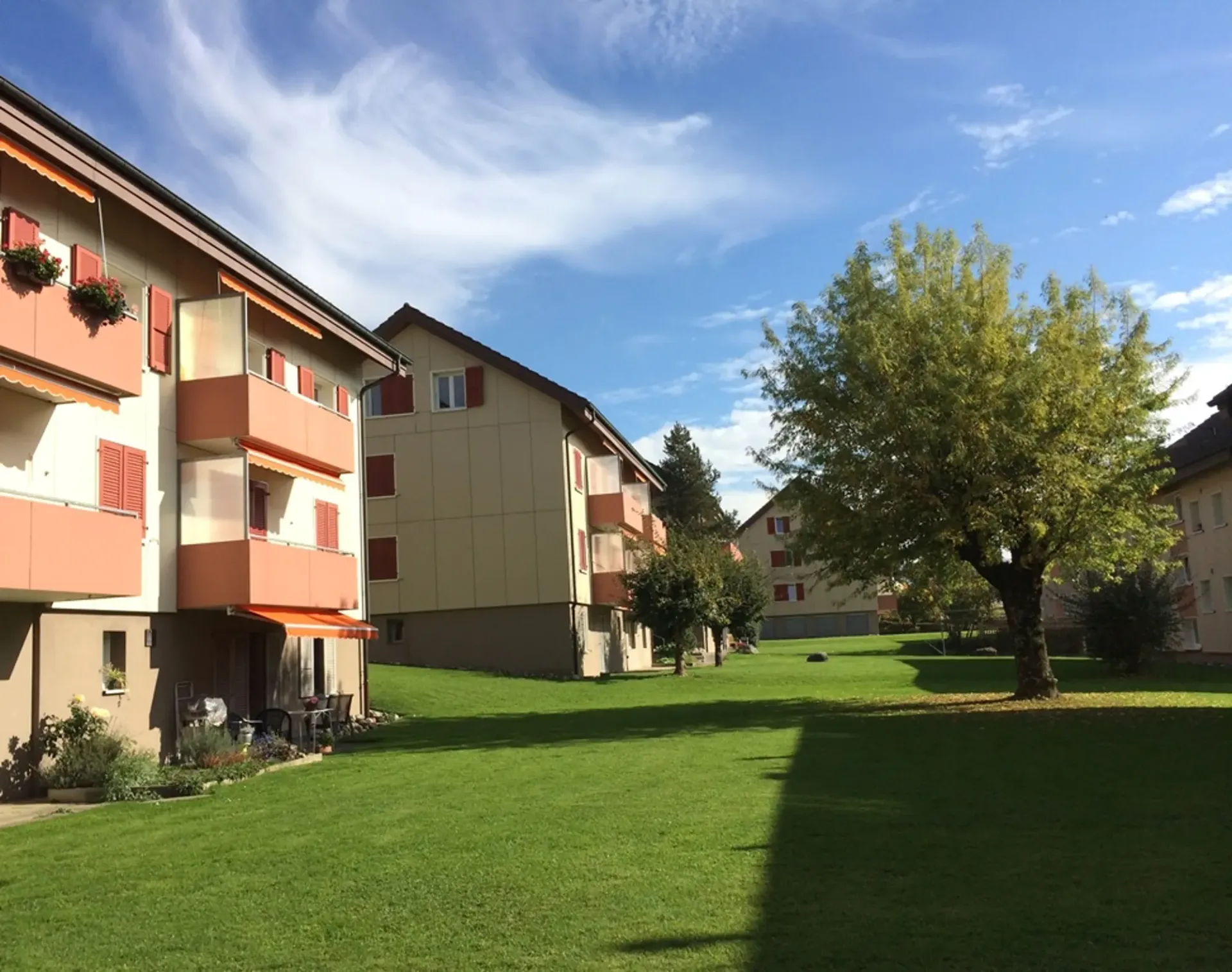 Ihr neues Zuhause?