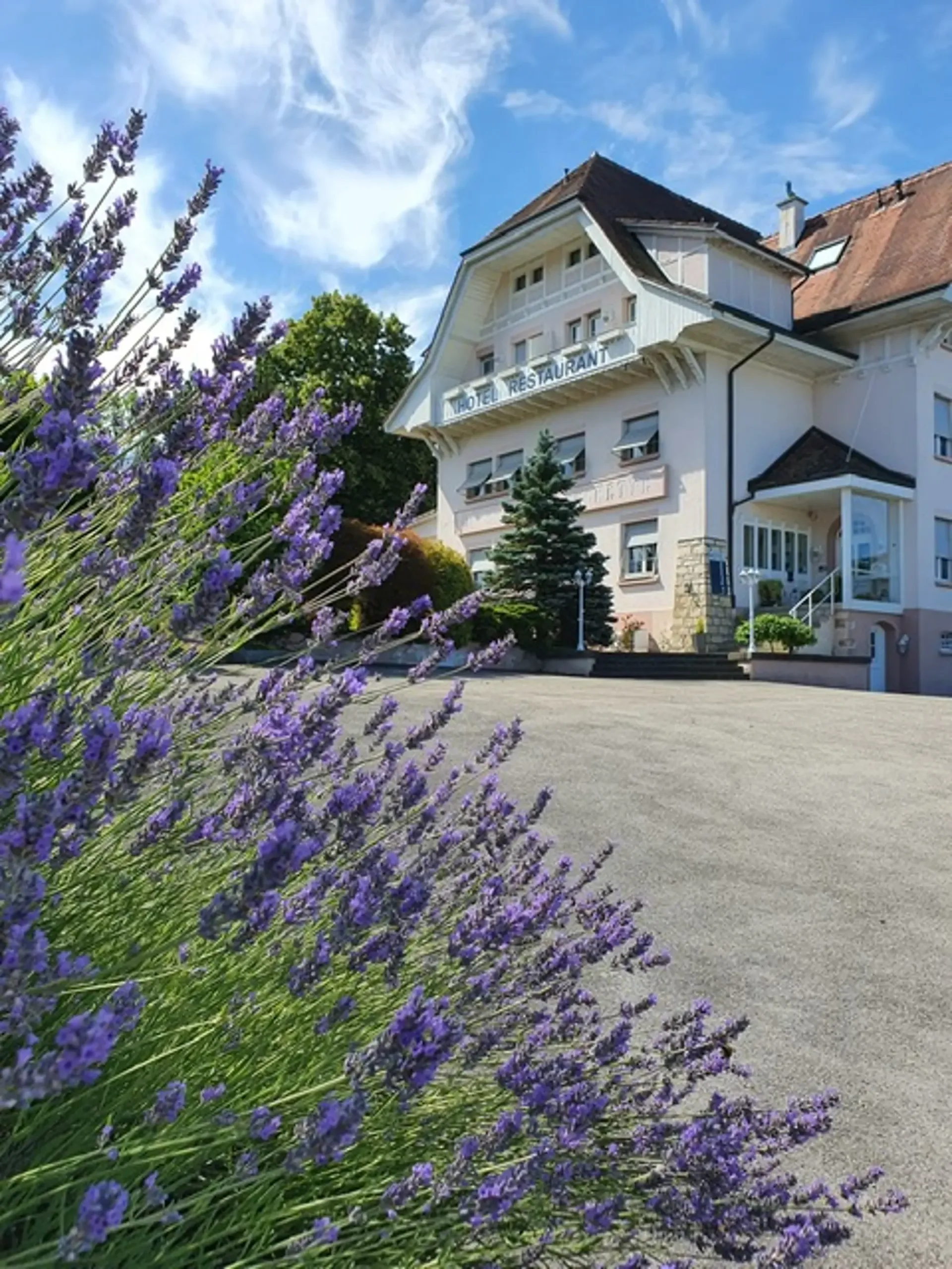 Hotel mit Charme in Boncourt zum Verkauf