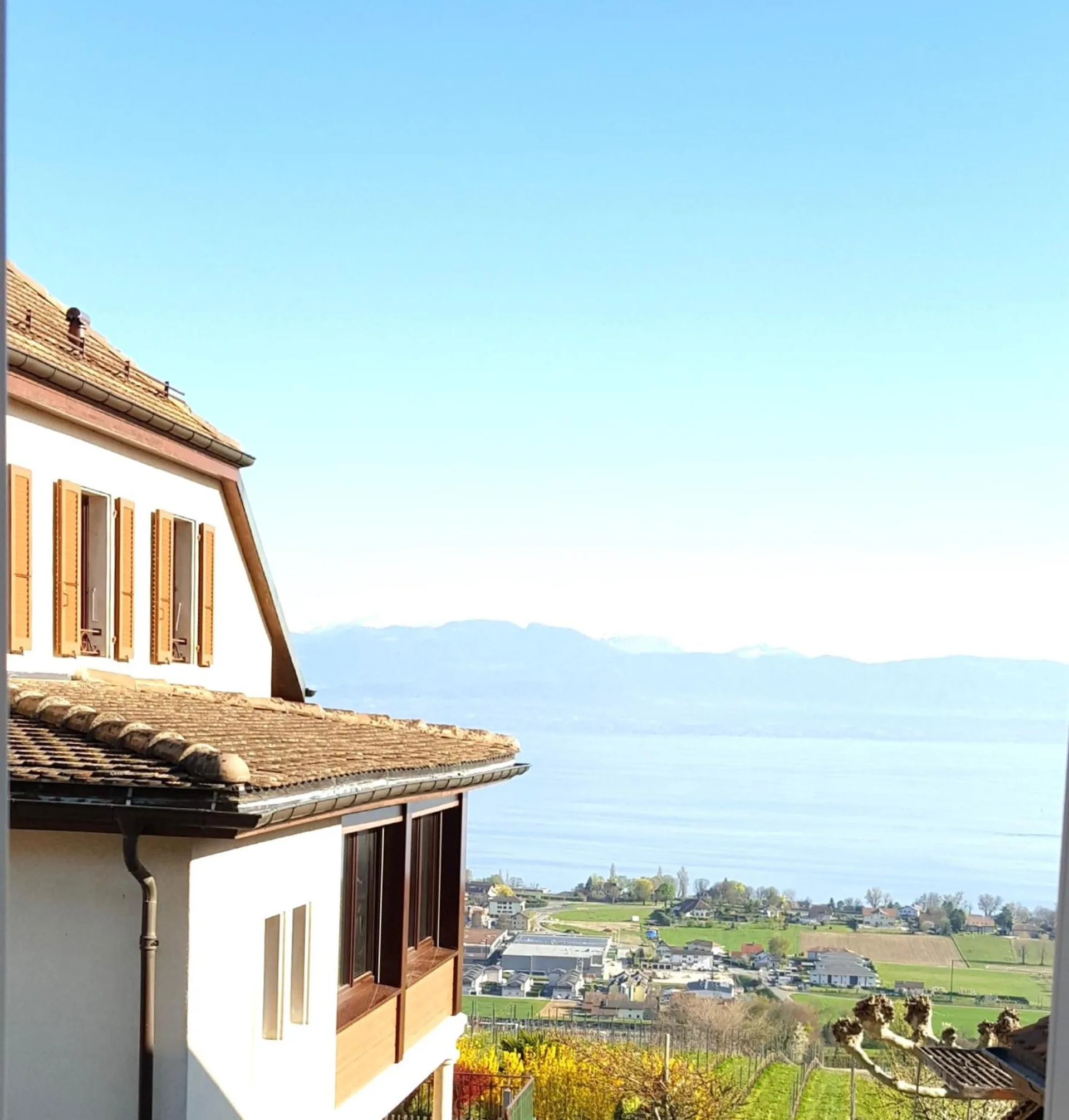 Charmanter Einfamilienbungalow mit 5.5 Zimmern und Seeblick