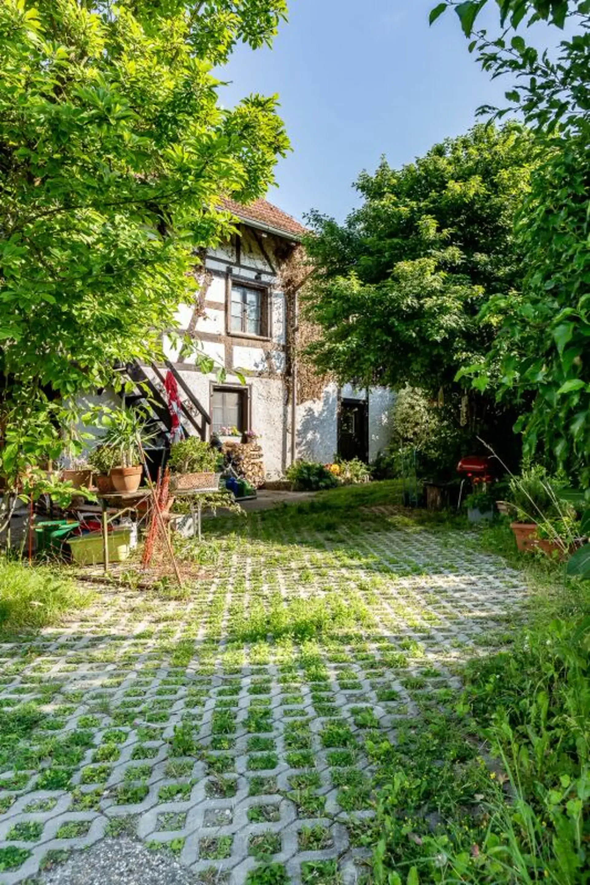 Appartement studio de 1,5 pièces avec place assise dans le jardin verdoyant