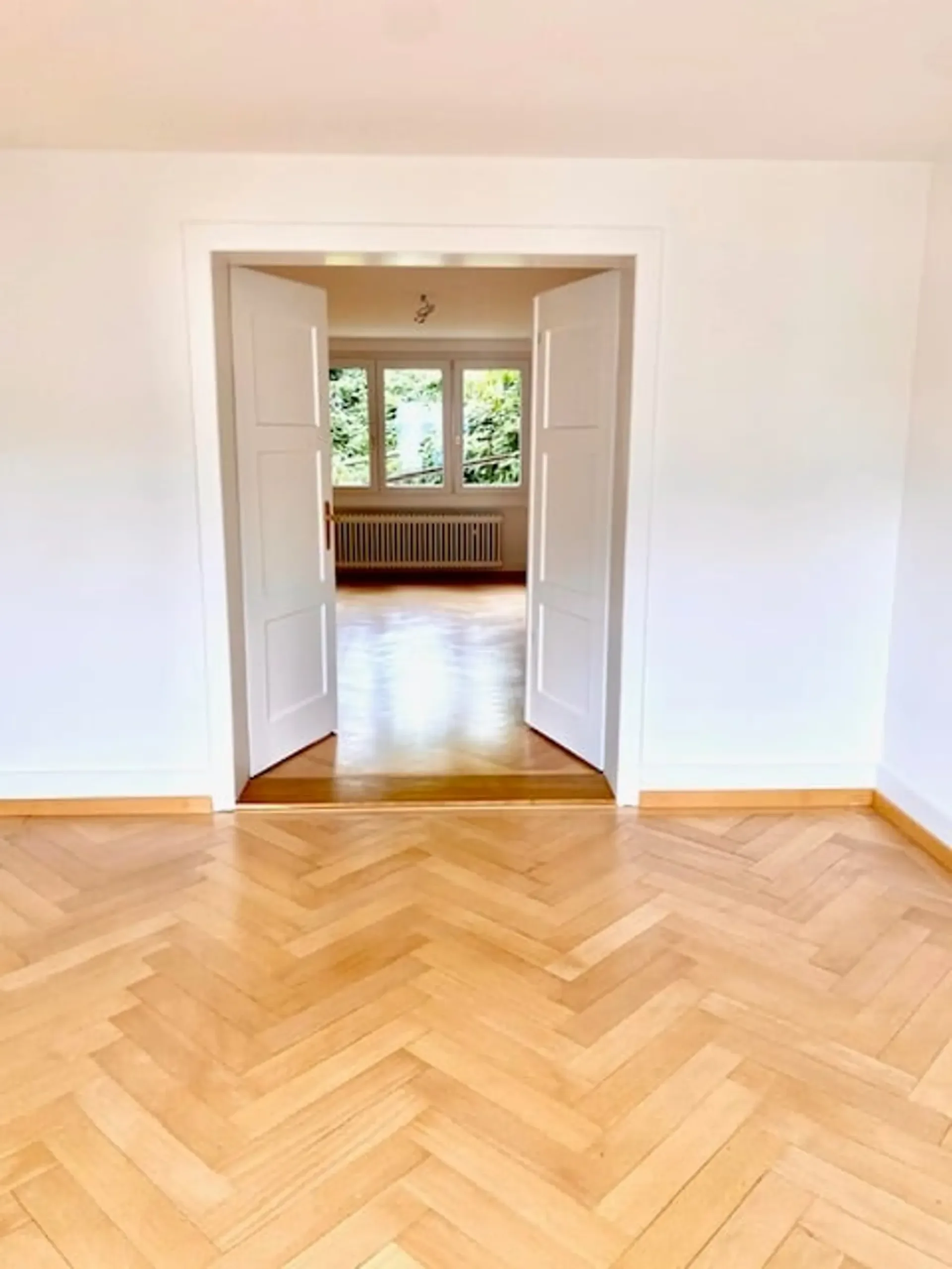 Luxeriöse sanierte 5,5 Zimmer Altbau Wohnung mit Balkon im Zentrum von Herisau