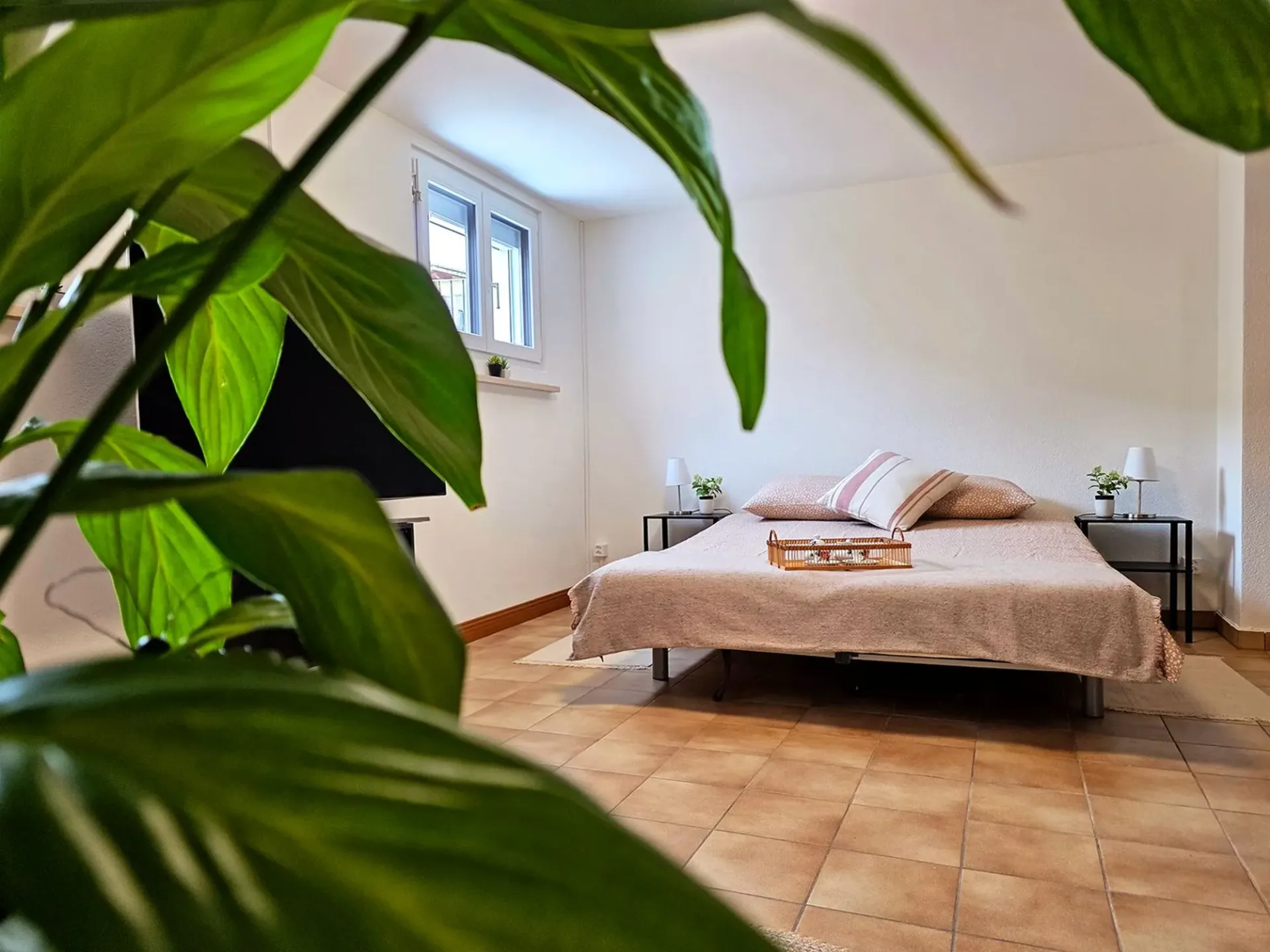 Zweizimmerwohnung mit Terrasse, eigenem Eingang und inklusive Parkplatz in Losone – ab November für mittelfristige Aufenthalte verfügbar