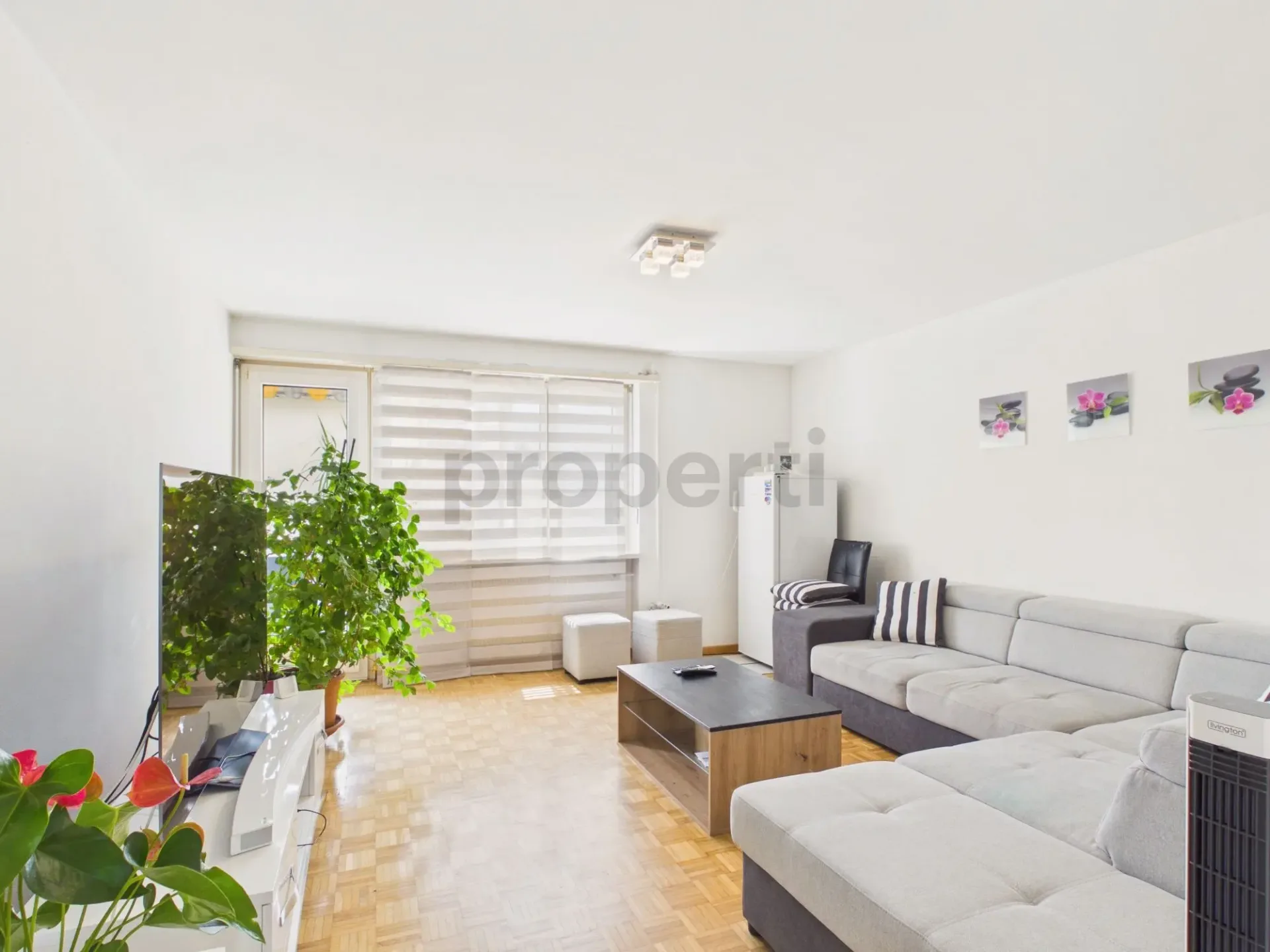 Helle und grosszügige Wohnung mit sonnigem Balkon