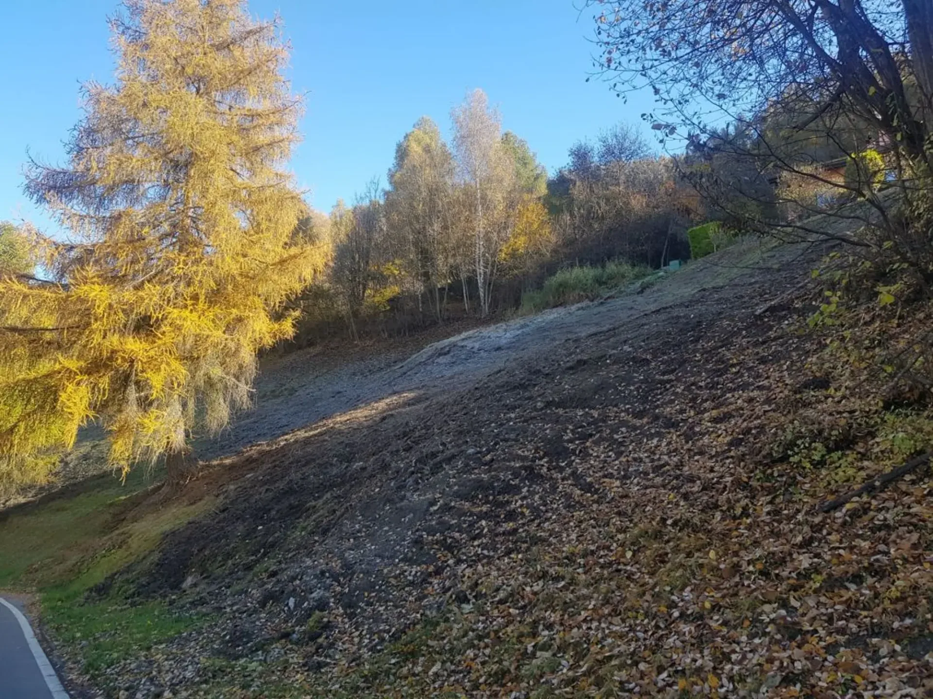 Bauparzelle