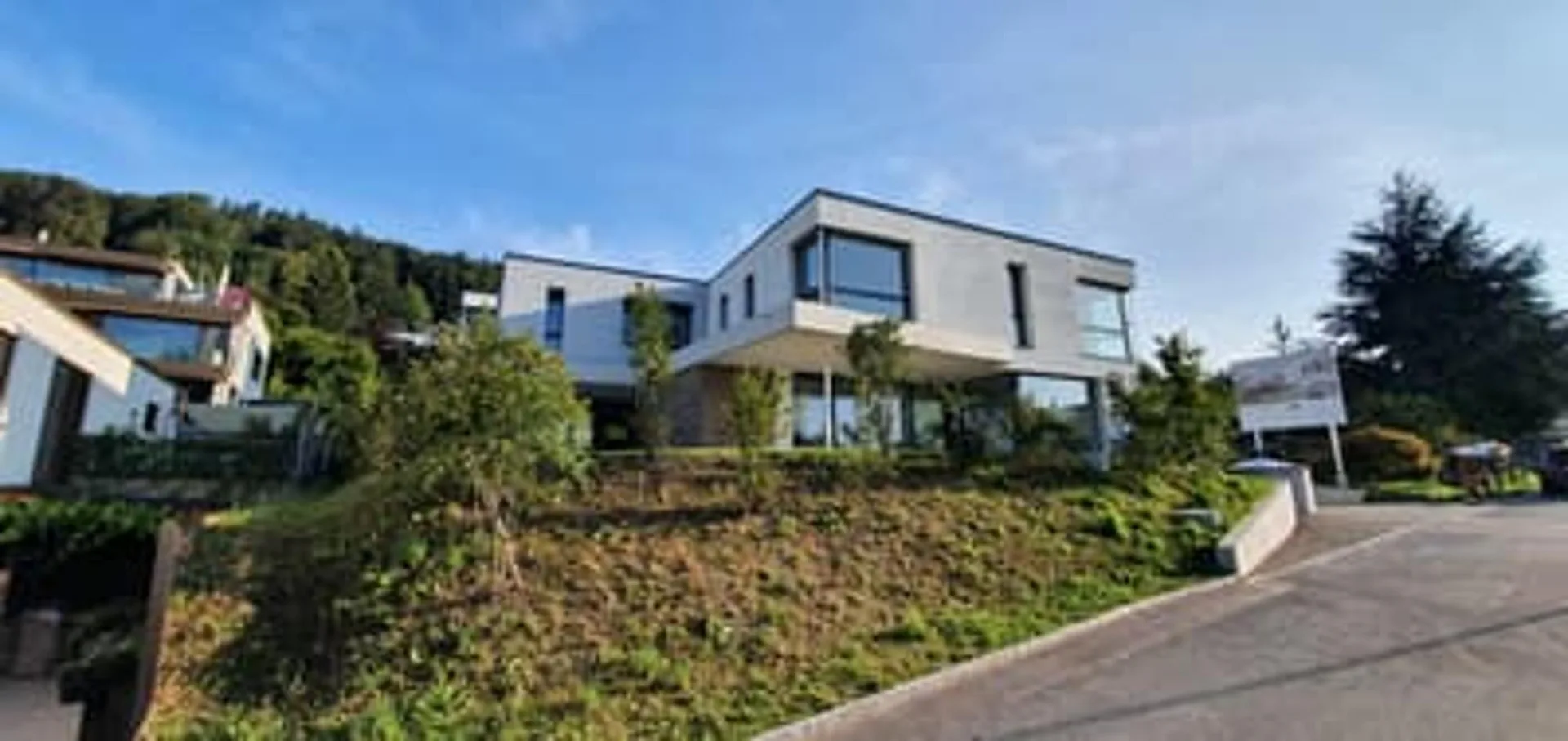 Einzigartes 5-Zimmer-Doppeleinfamilienhaus mit Pool - Alpsteinsicht - sonnig