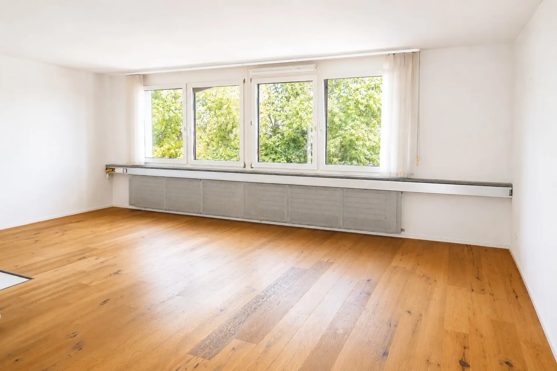 Helles und gepflegtes Büro mit viel Tageslicht