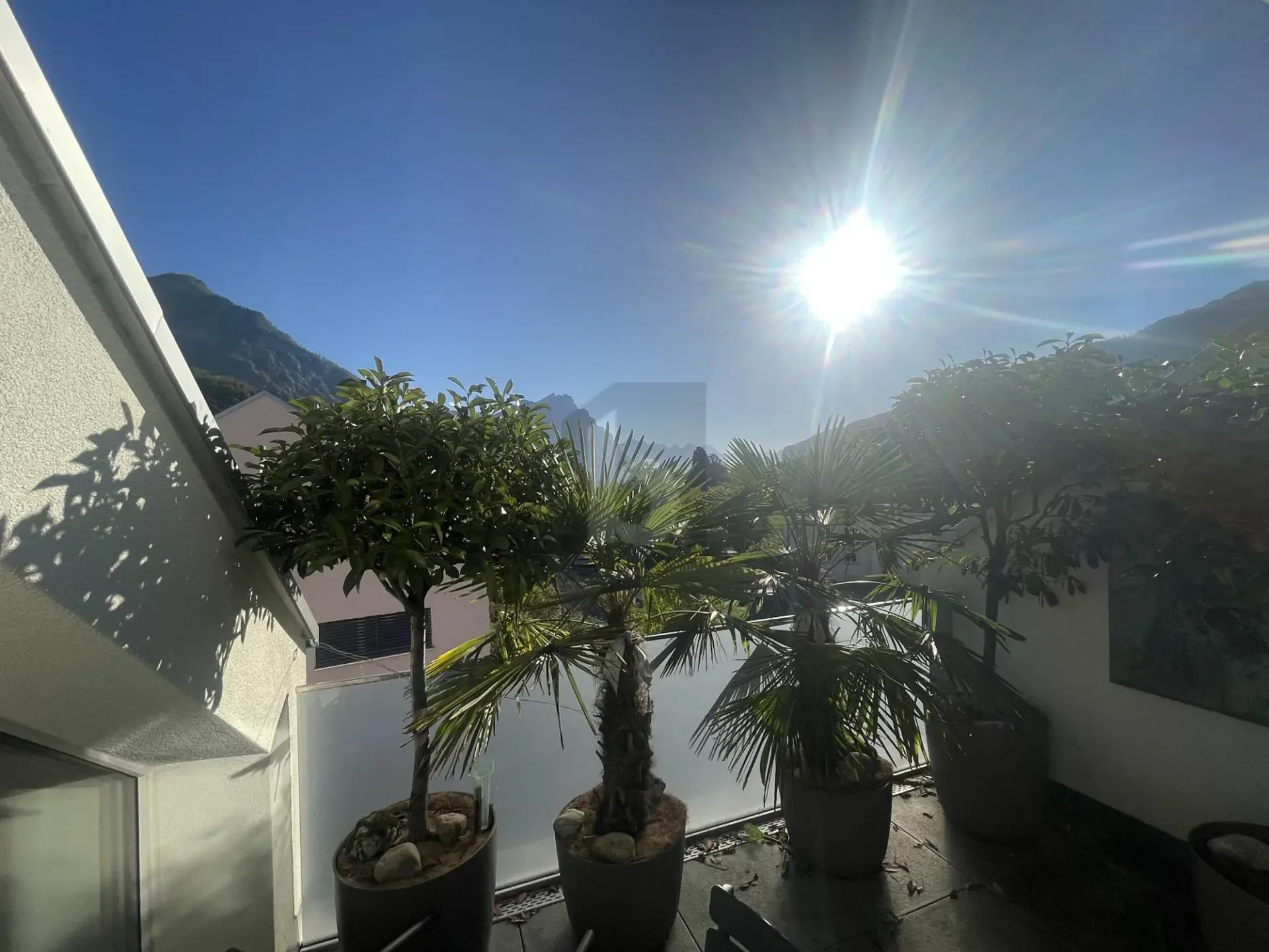 Oasis of Well-being near Lake Walen