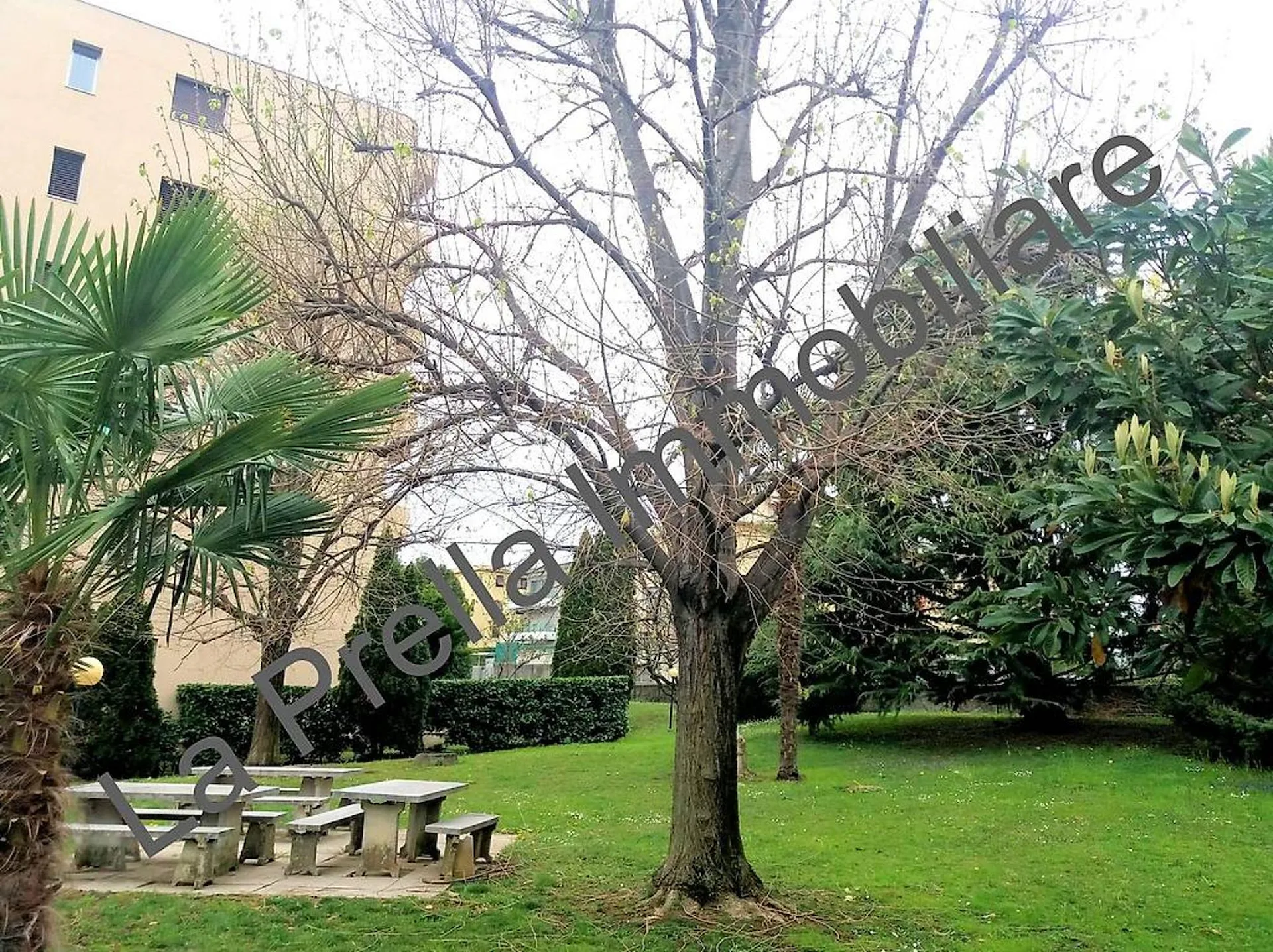 Coldrerio - Ampio 3.5 locali con giardino condominiale