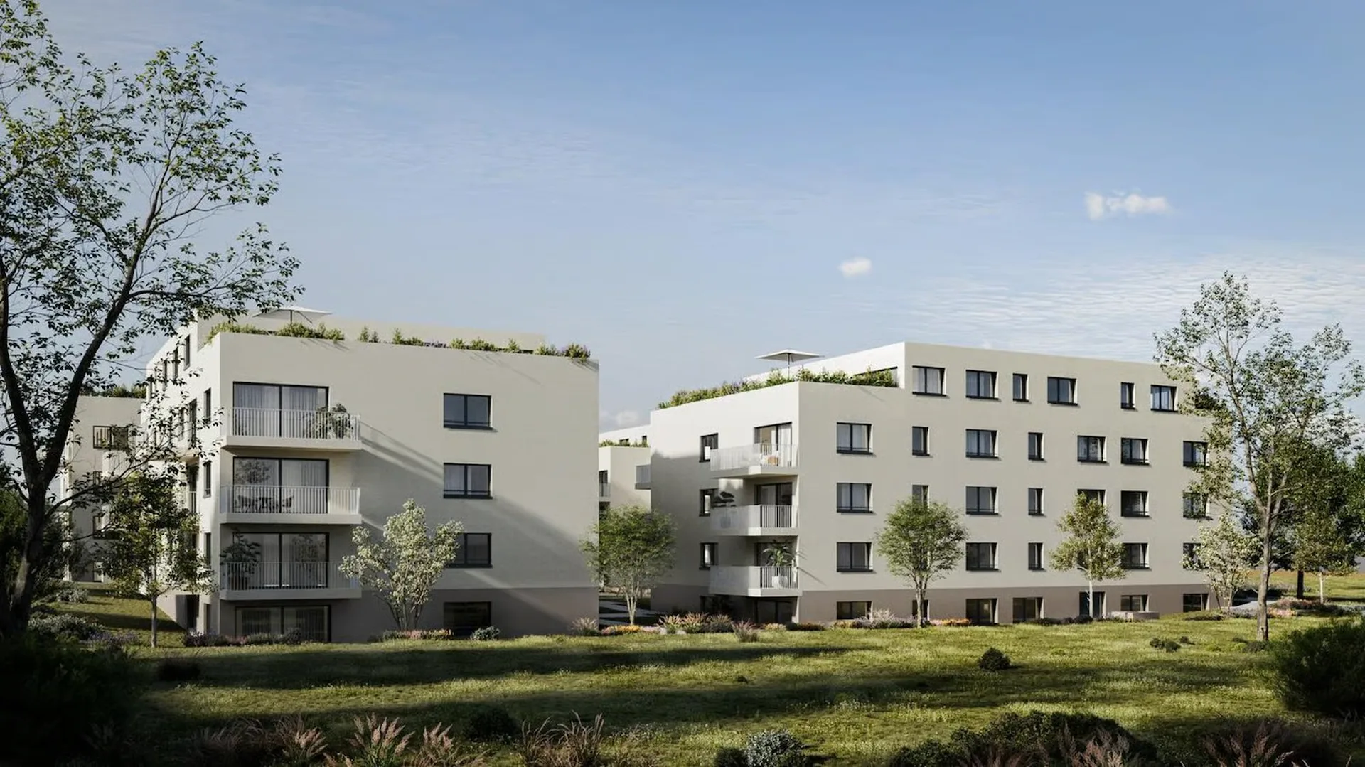 Vermietungsstart Ergipark - Wo Zukunft Wurzeln schlägt