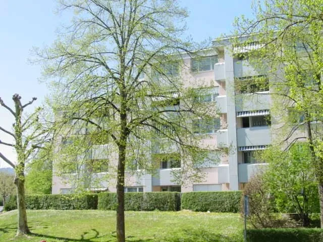 Wohnen im Herzen von Niederhasli