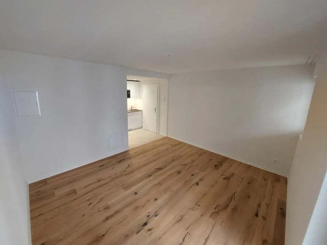 Bright studio new building apartment at Escher Wyss Platz - First rental