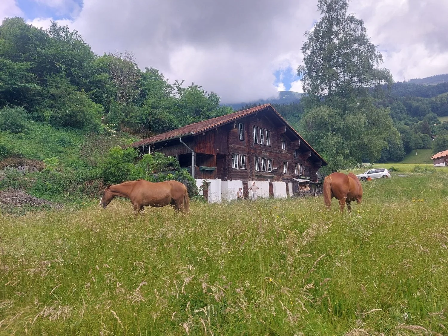 3 ZI-WOHNUNG IN HASLIBERG HOHFLUH (BE), MÖBLIERT, TEMPORÄR