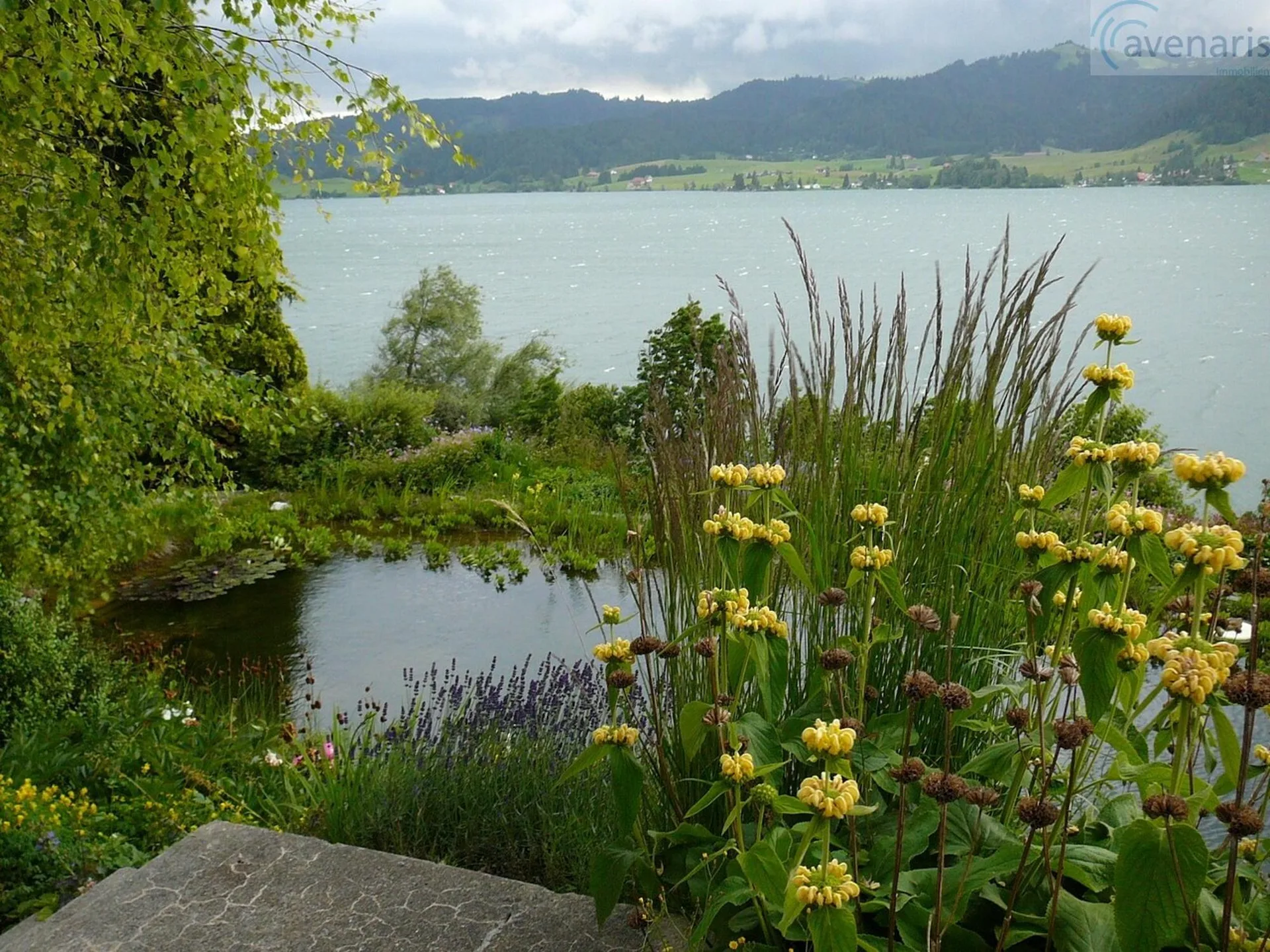 Ihr Wohntraum mit Panoramaausblick am Sihlsee