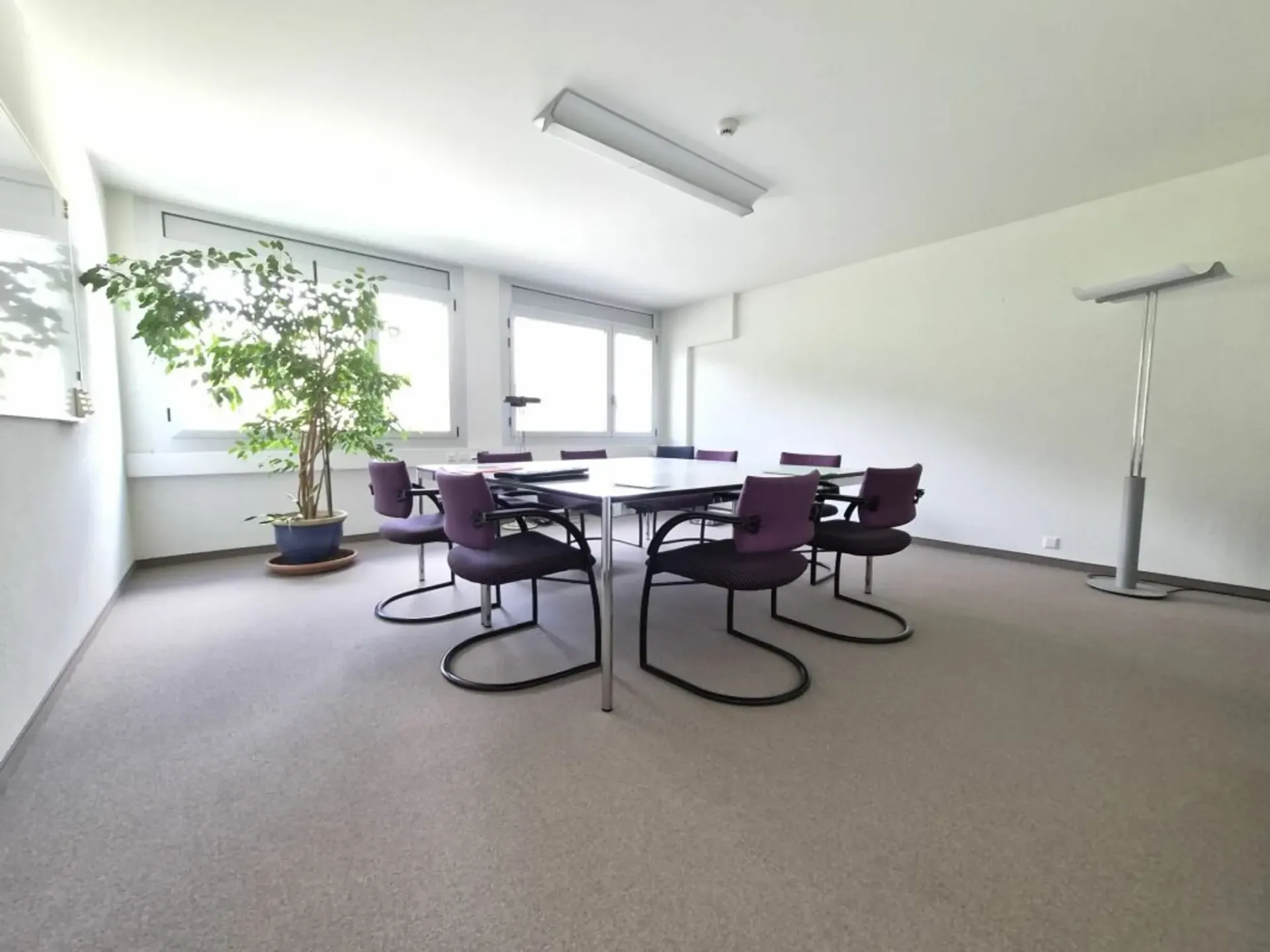 Office to share on an active commercial plateau