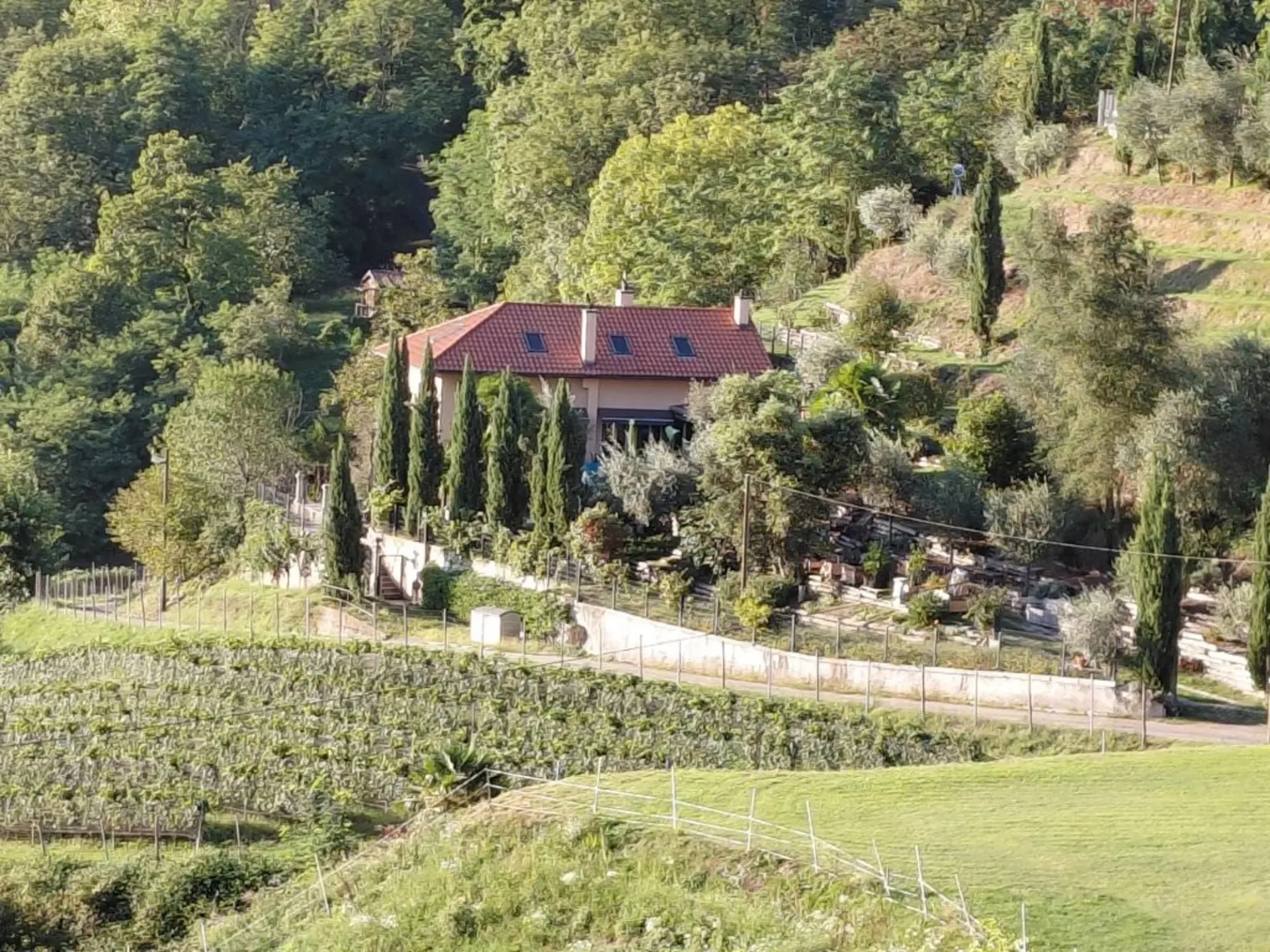 Charming villa immersed in nature