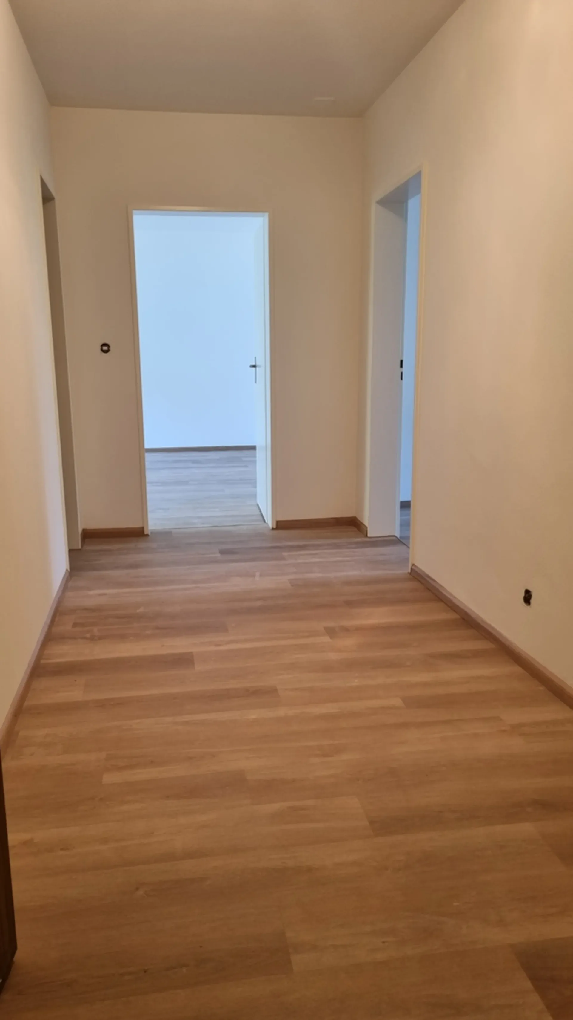 Renovated 3-room apartment in the border area