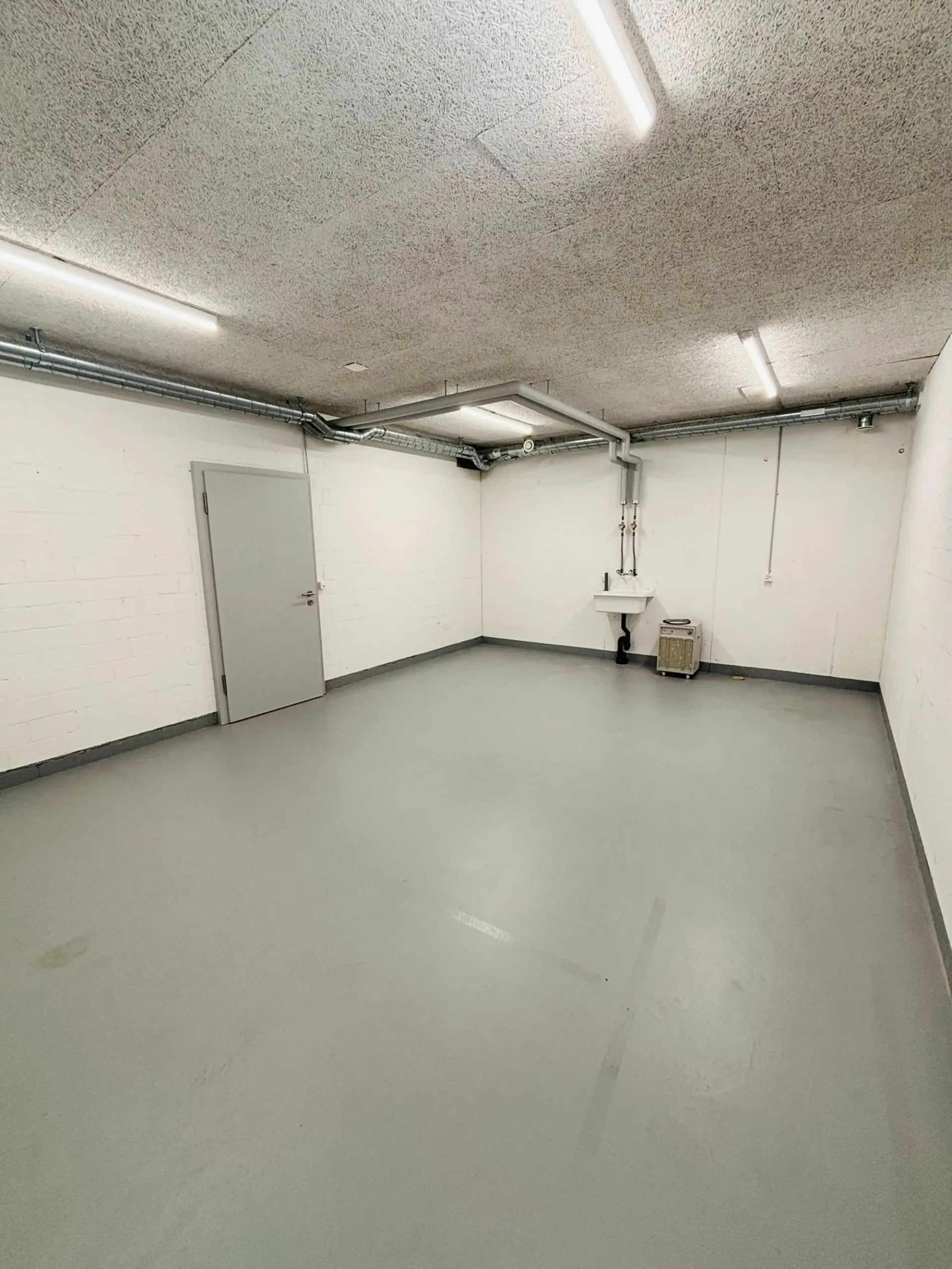 Ampio locale hobbistico in affitto a Berg TG