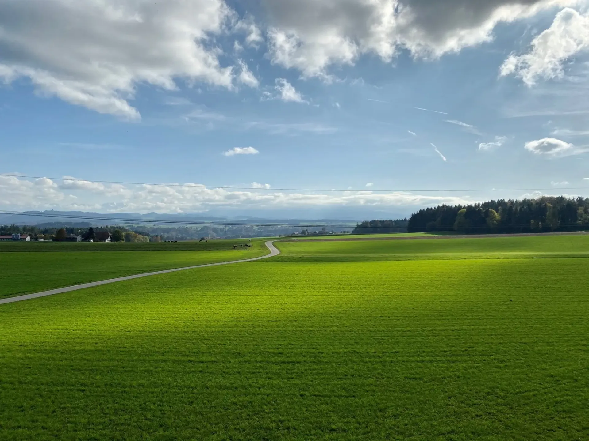 15min von Bern mit traumhafter Aussicht auf Alpen in Mitten der Natur,