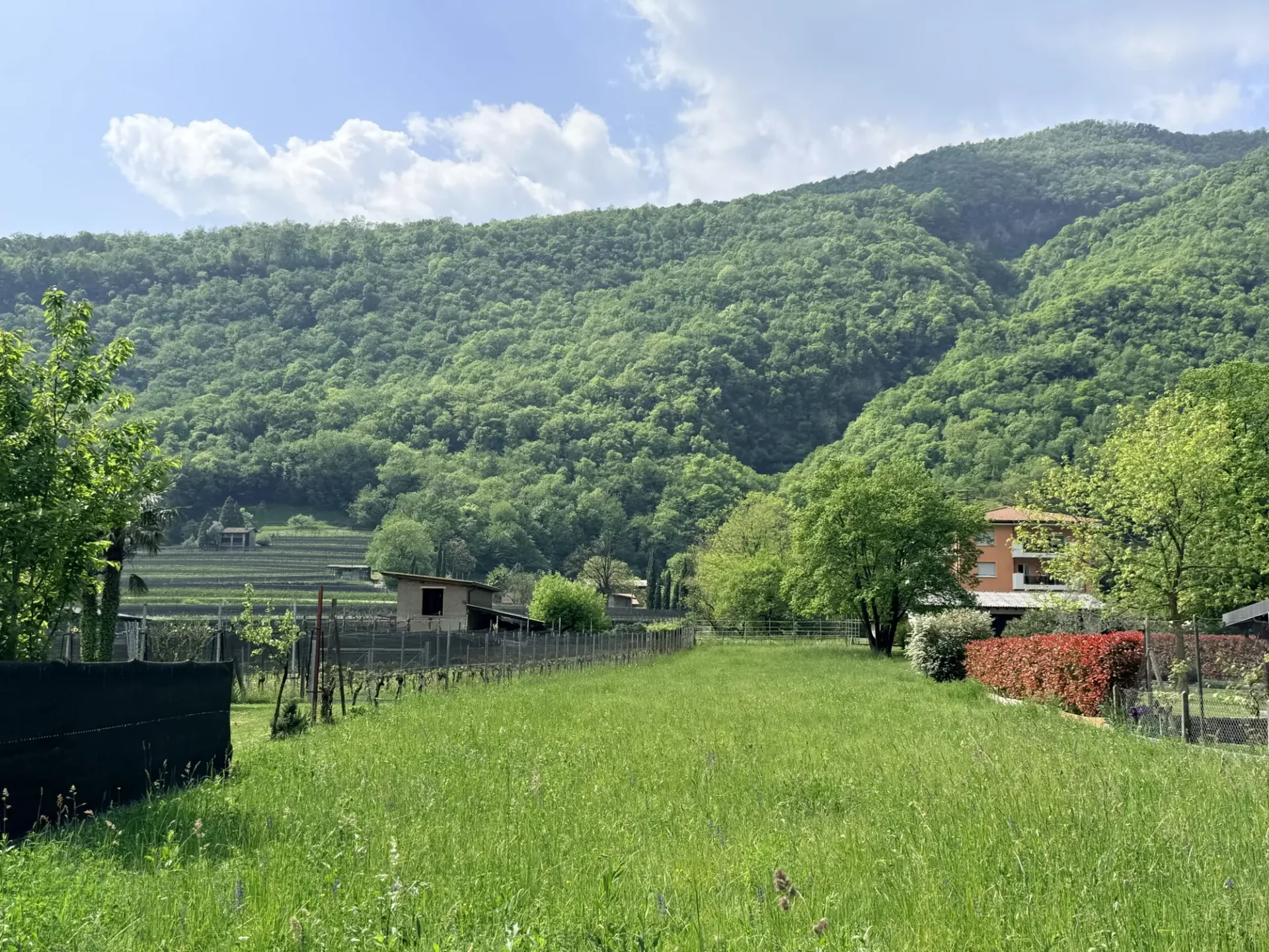 Baugrundstück in der Ebene von 1376 m² in Riva San Vitale