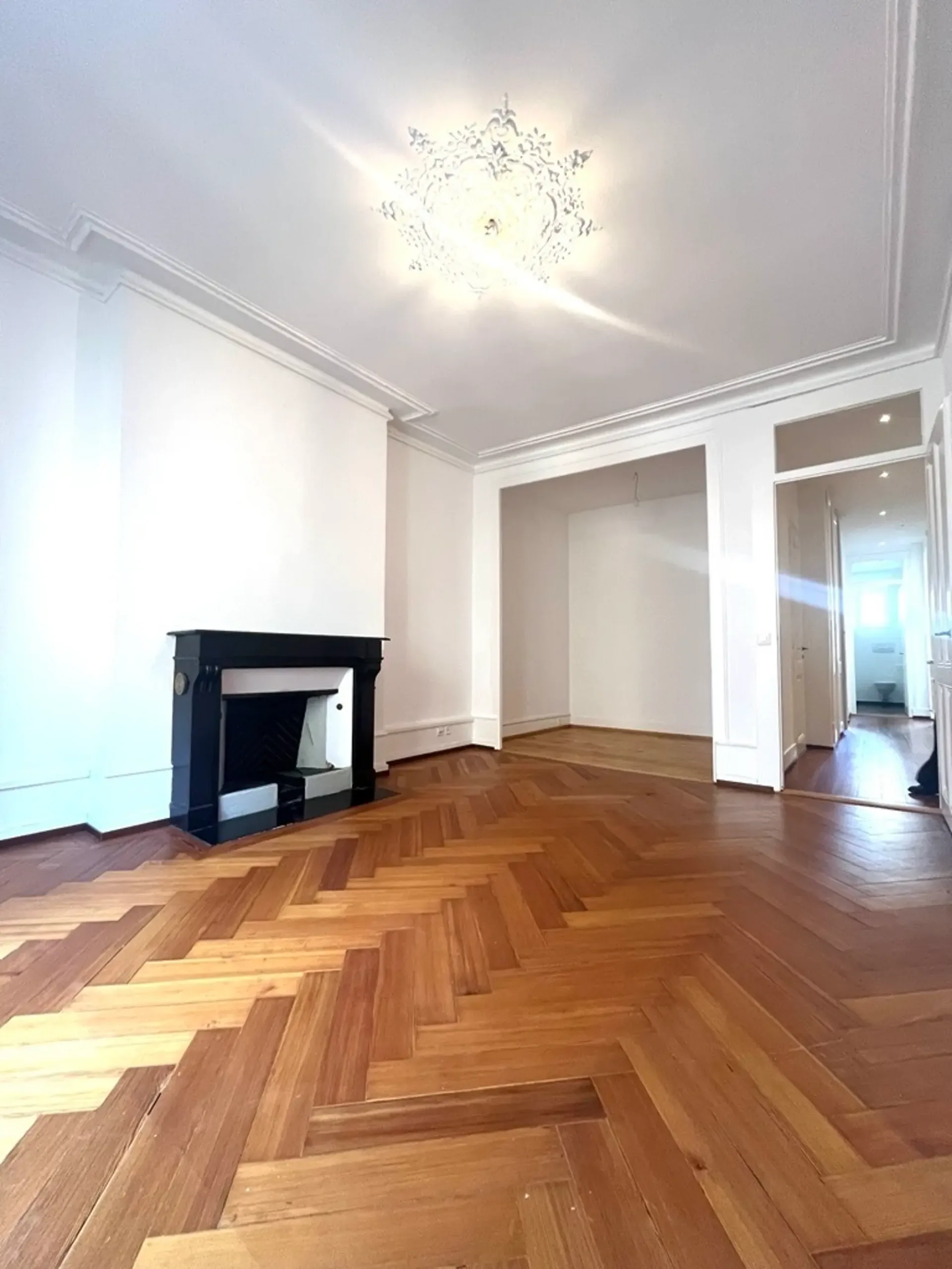 Prachtvolle 4,5-Zimmer-Wohnung im Herzen von Eaux-Vives
