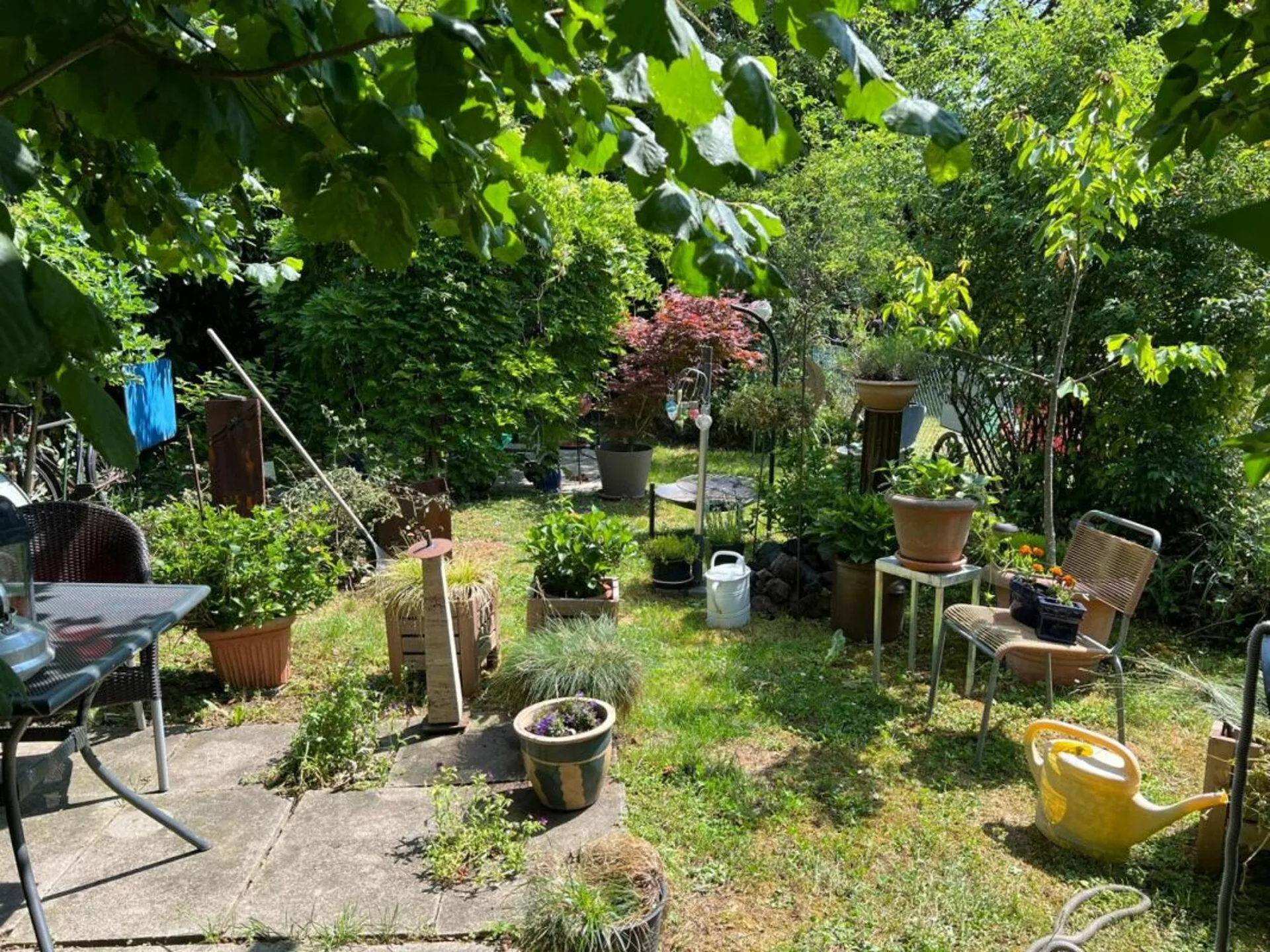 Einzigartiges Mehrfamilienhaus - ideal als Investment oder für Familien
