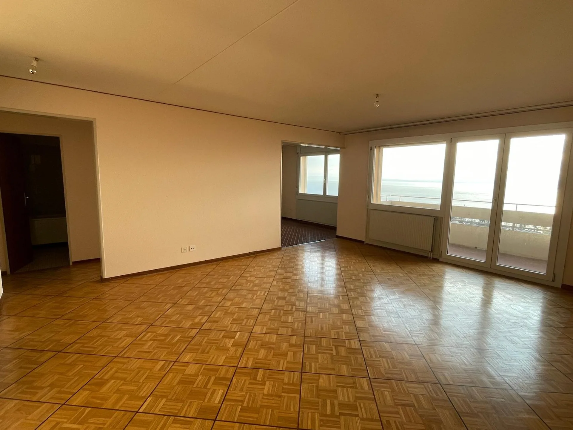 Appartement de 3,5 pcs avec vue imprenable sur le lac et les Alpes