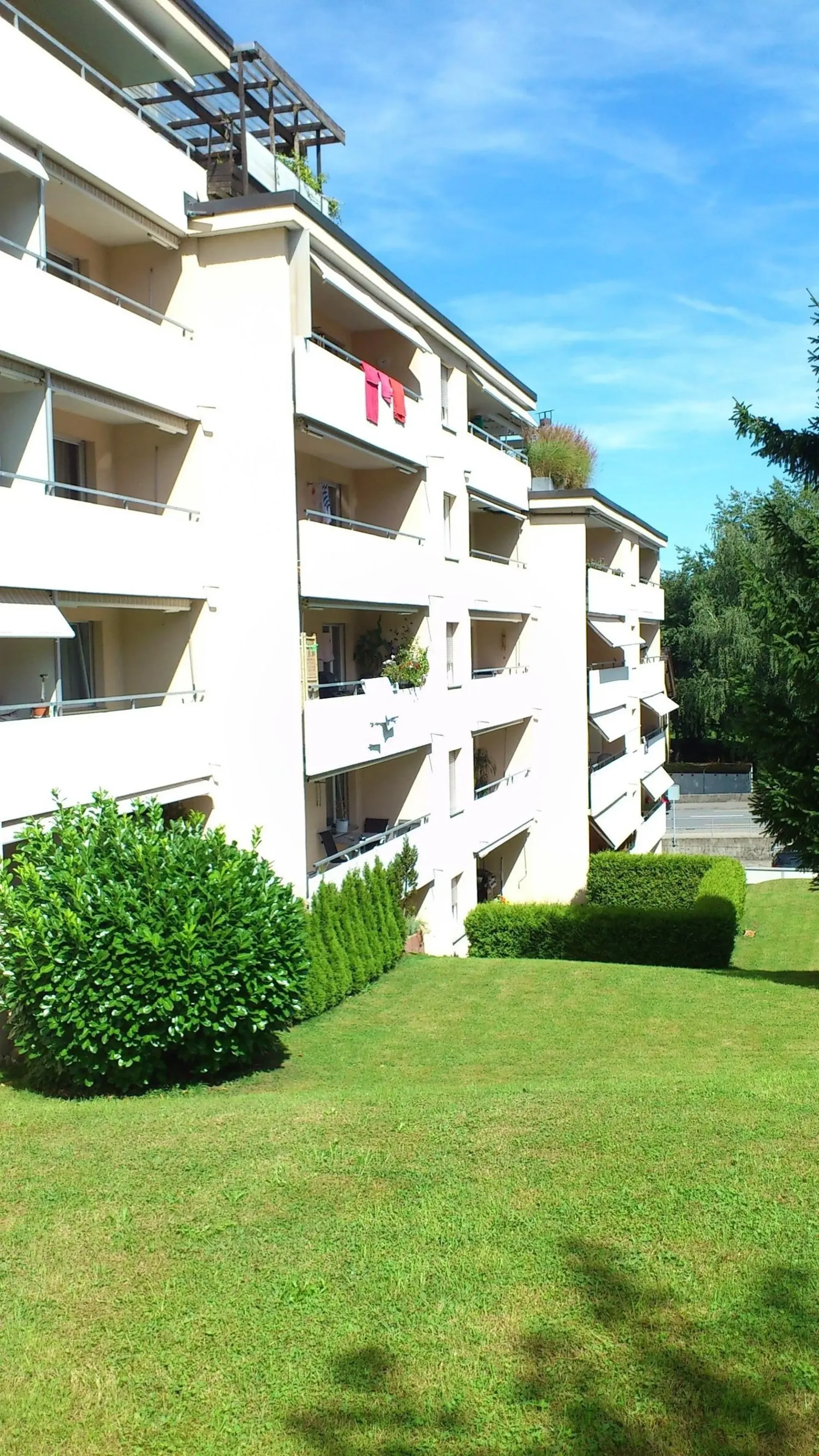 2 1/2 pièces appartement