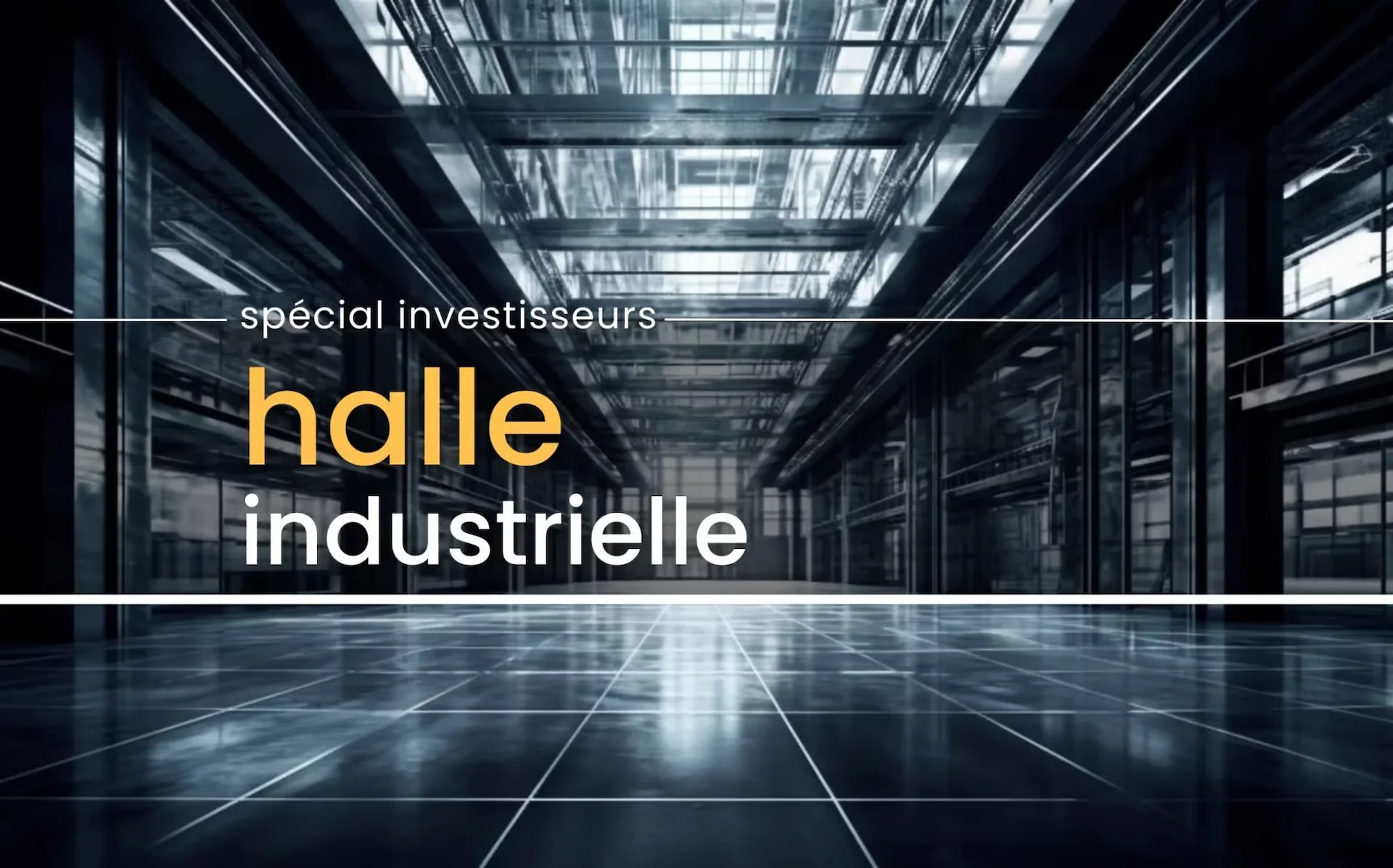 Sierre | Iles Falcon - Großflächige Industriehalle