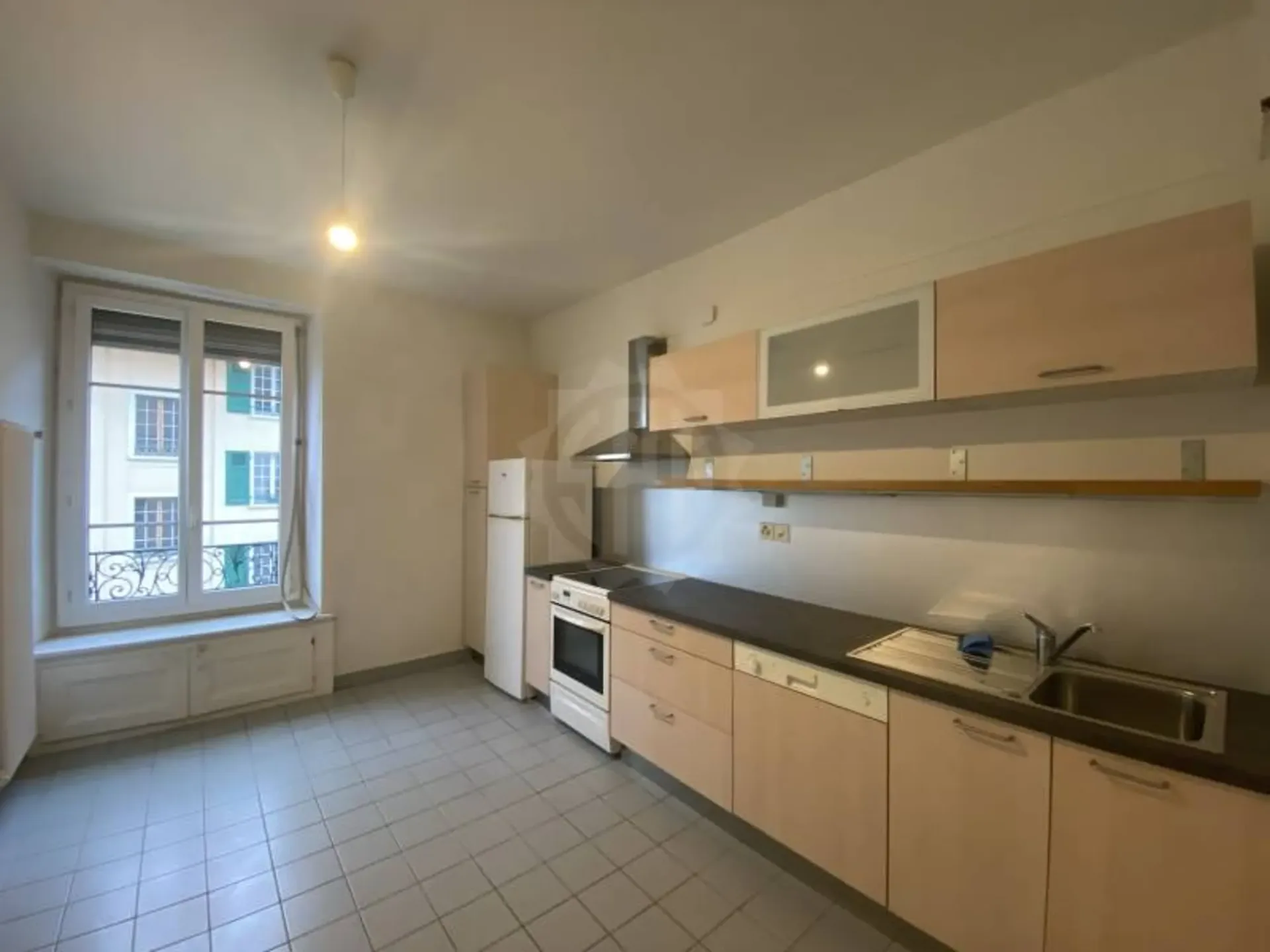 Pleasant Apartment - Geneva