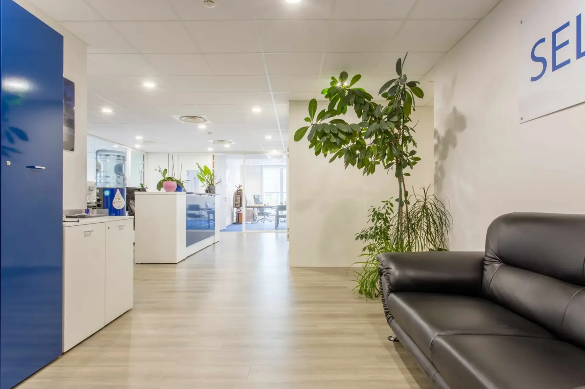 Büros / Labor von 1'600 m² in Plan-les-Ouates