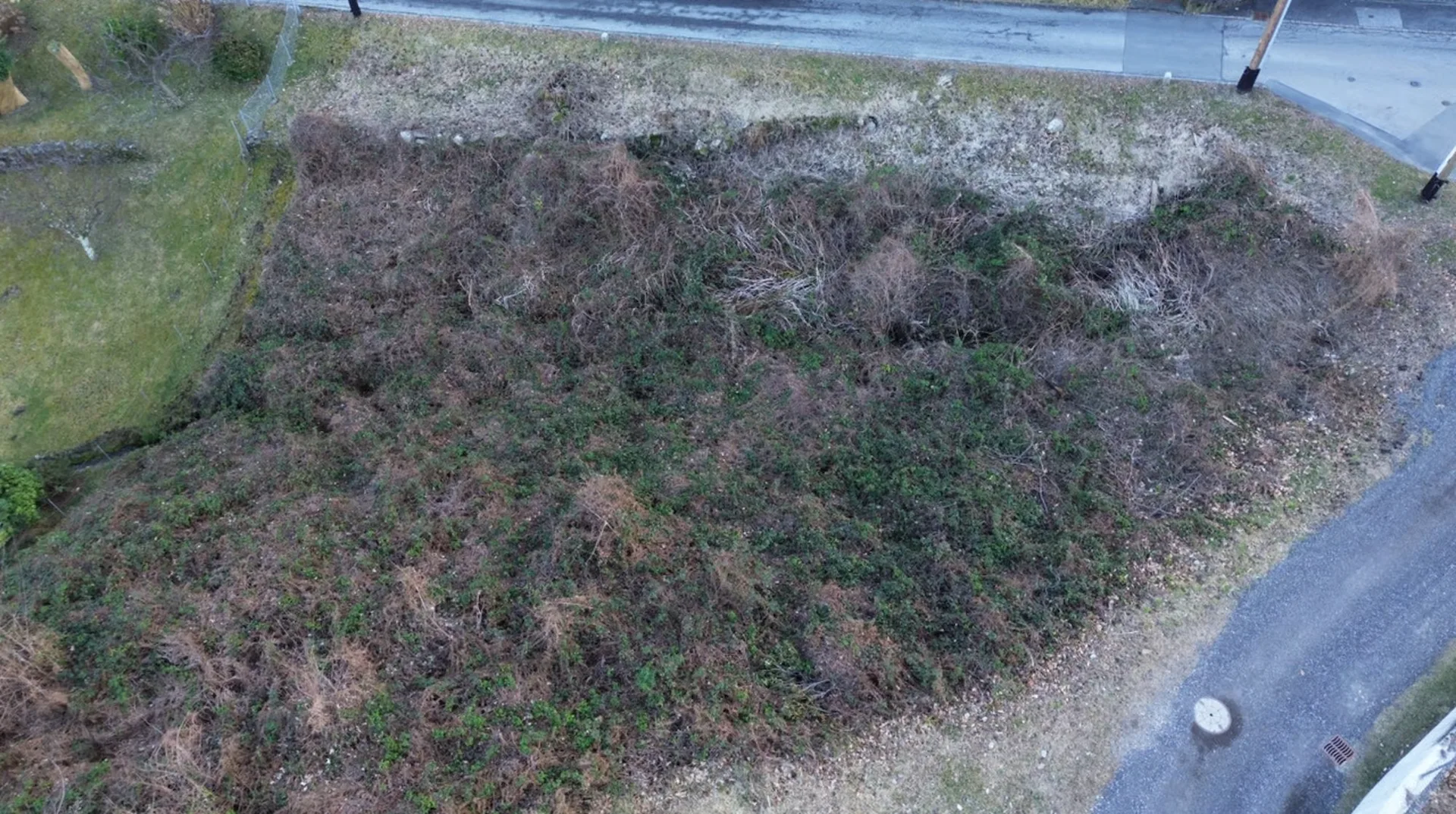 Baumögliches Grundstück Magadino