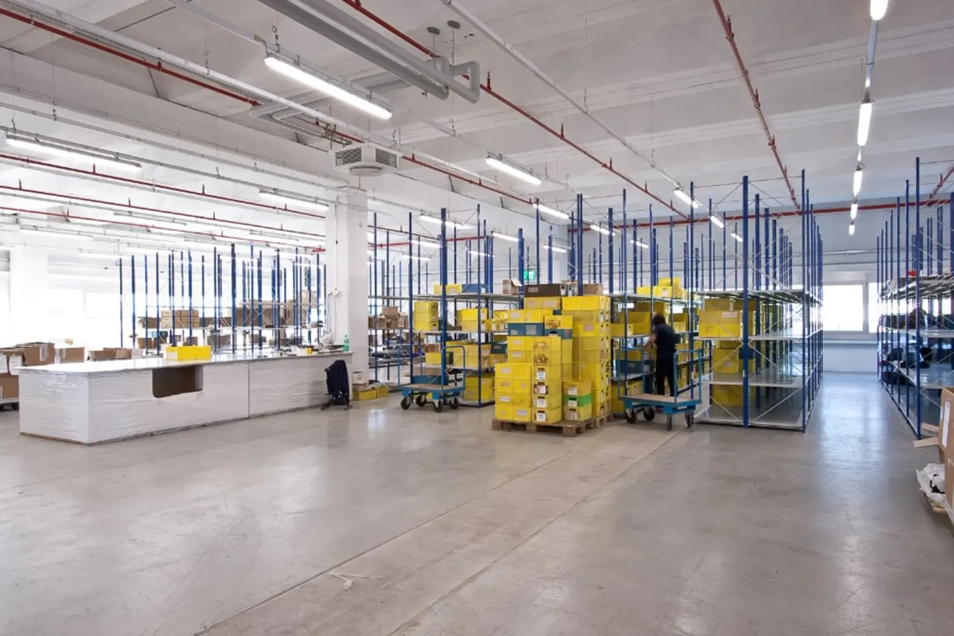 Große Flächen für logistische oder laboratorische Nutzung zur Miete oder zum Kauf in Contone