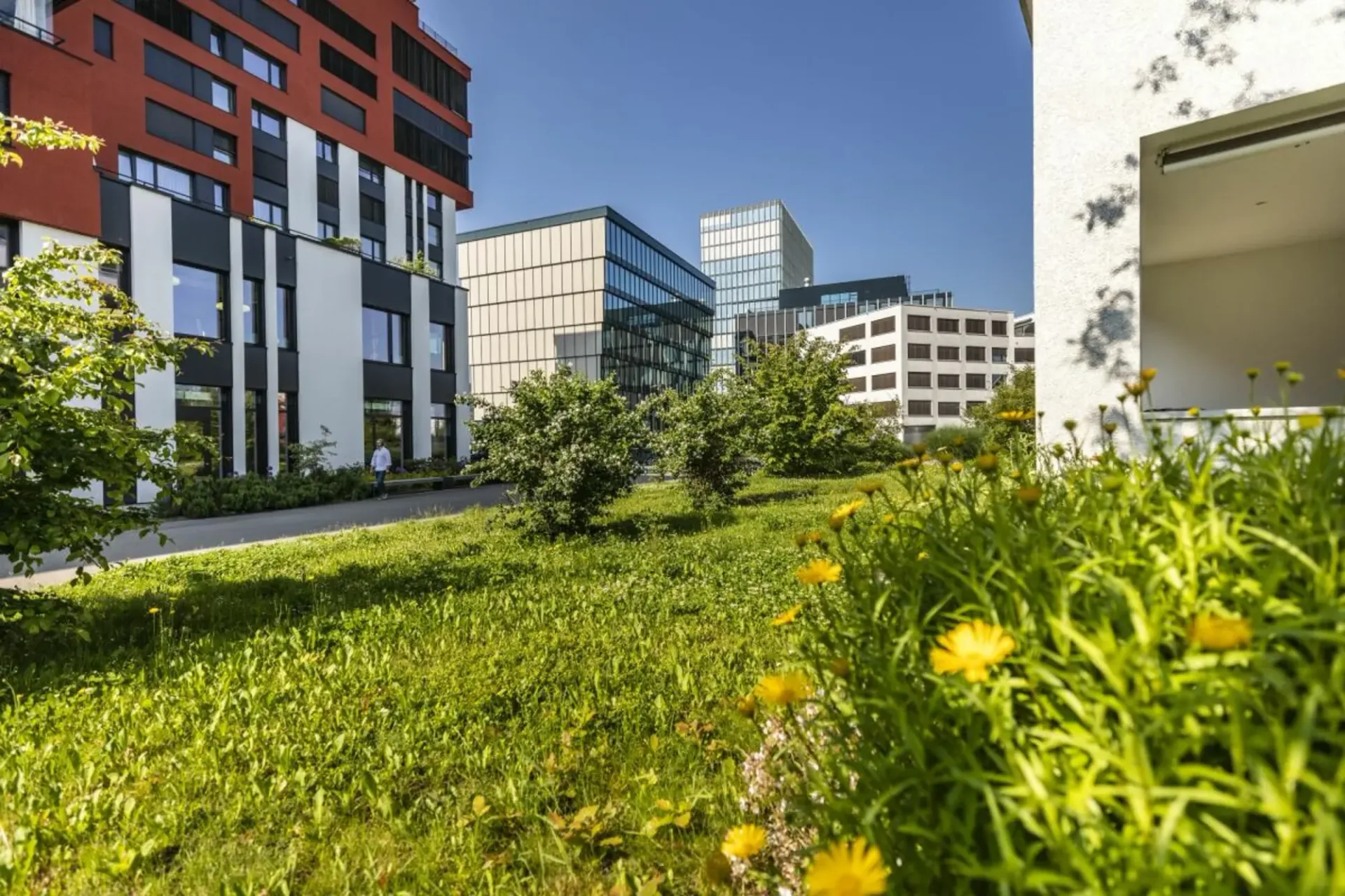 Flexible Büro- und Gewerbeflächen mit Vormieterausbau in Rotkreuz