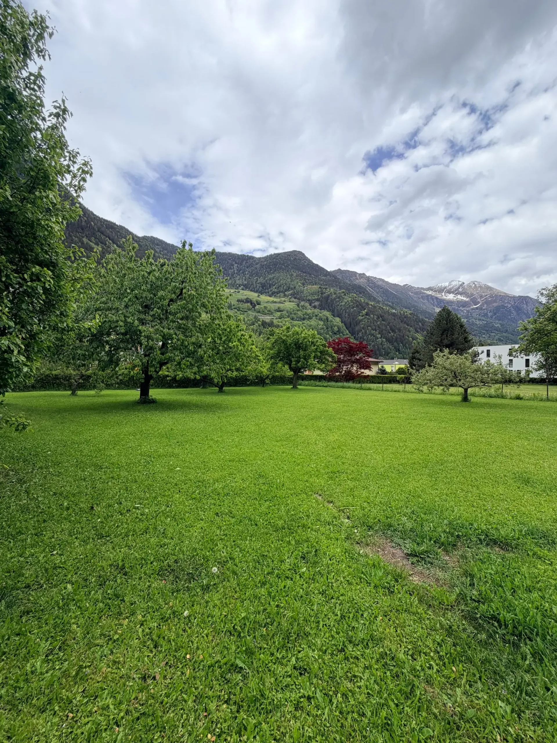 Verkauf von bebaubarem Land - Piotta