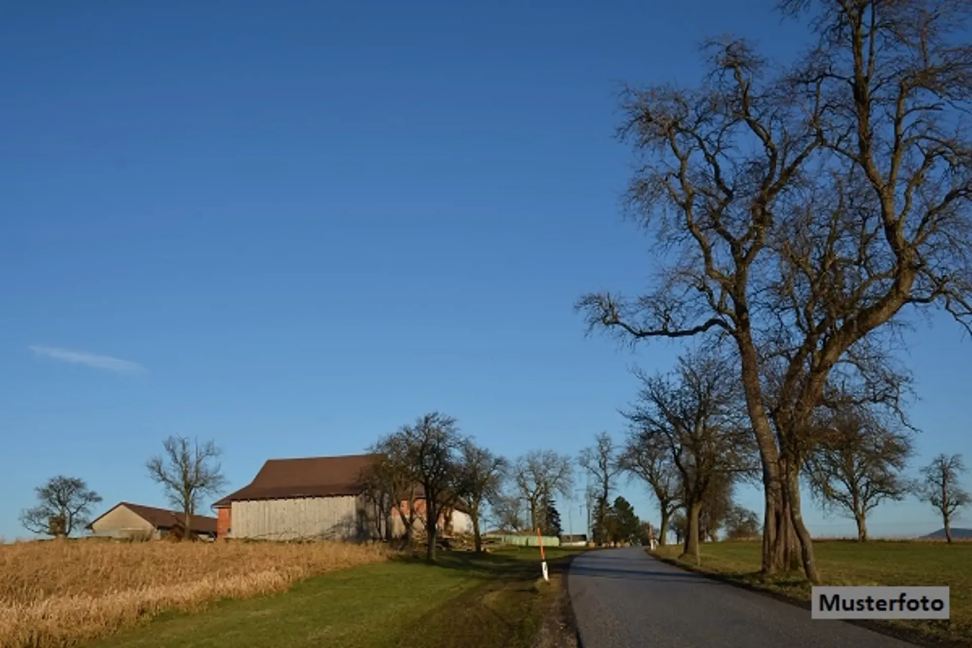 *Maison d'agriculteur avec 2 appartements et partie étable*