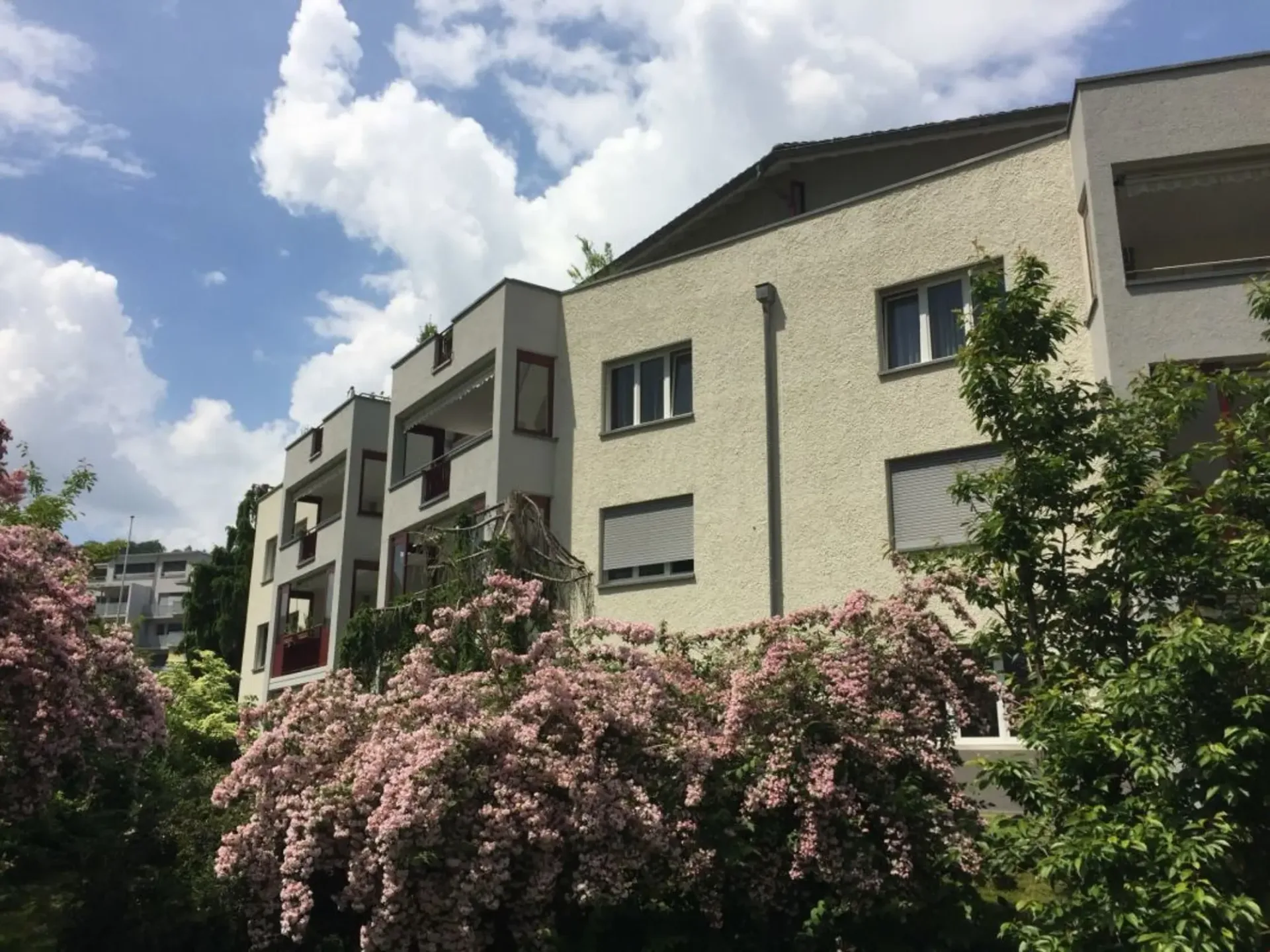 schöne 3.5 Zi.-Parterrewohnung in ruhigem Wohnquartier