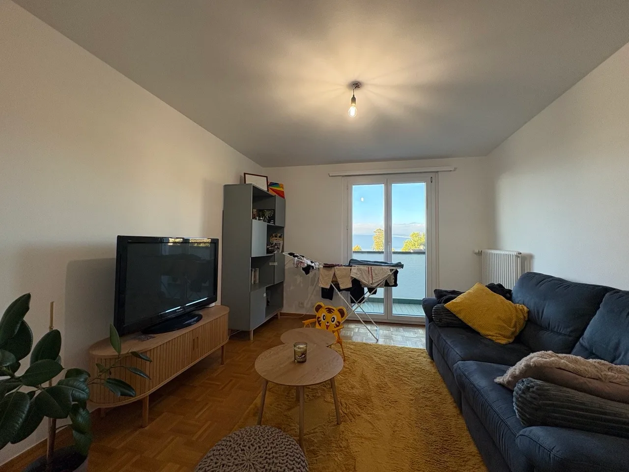 Apartment with 3.5 rooms and magnificent view of the lake
