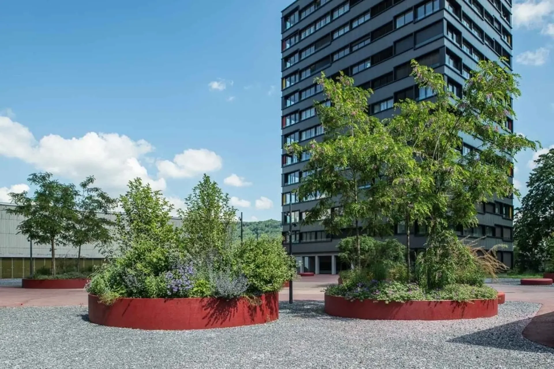 Mitten in der Stadt und doch im Grünen!