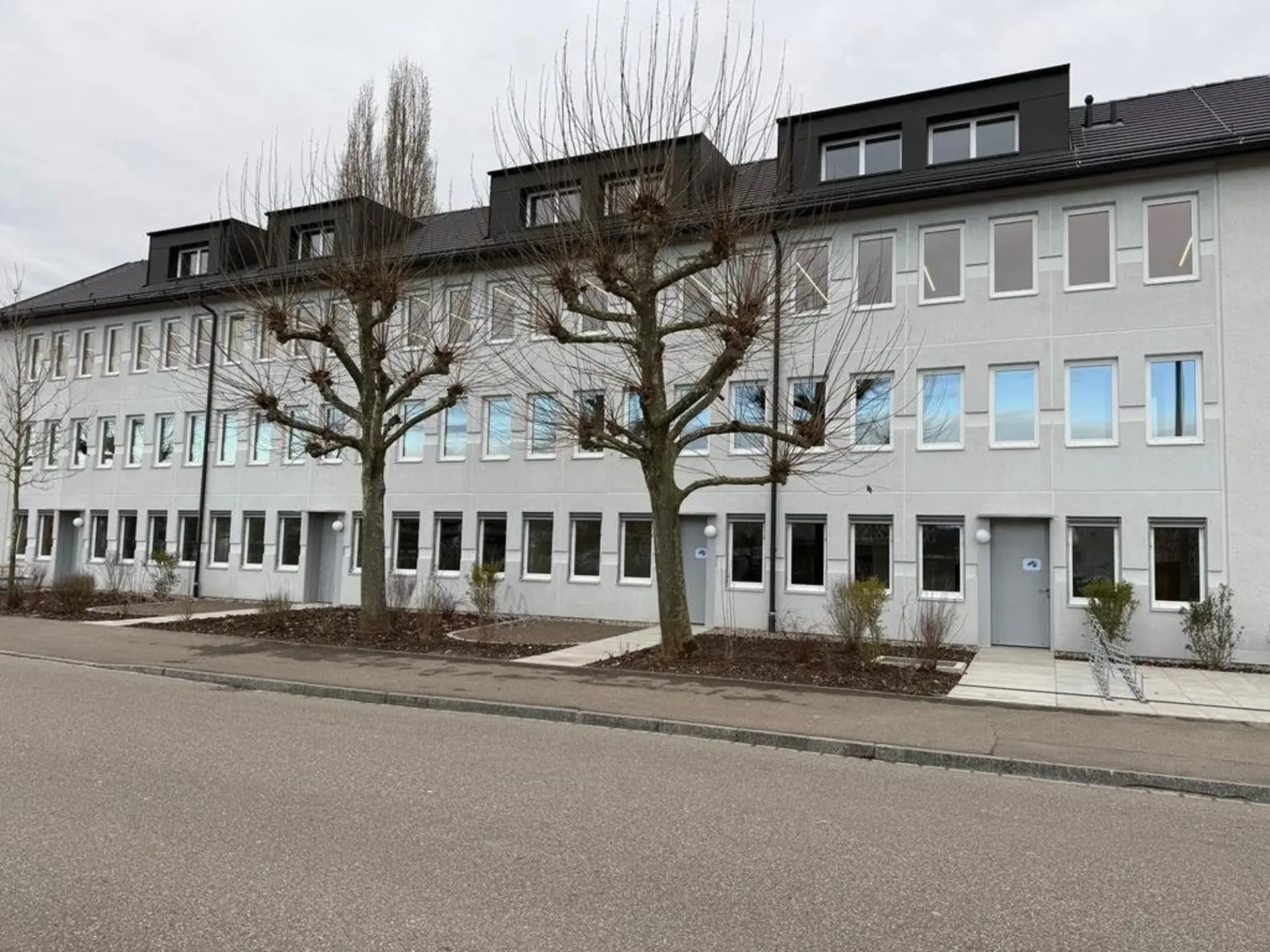 Moderne Wohnung mit grosser Küche und viel Licht