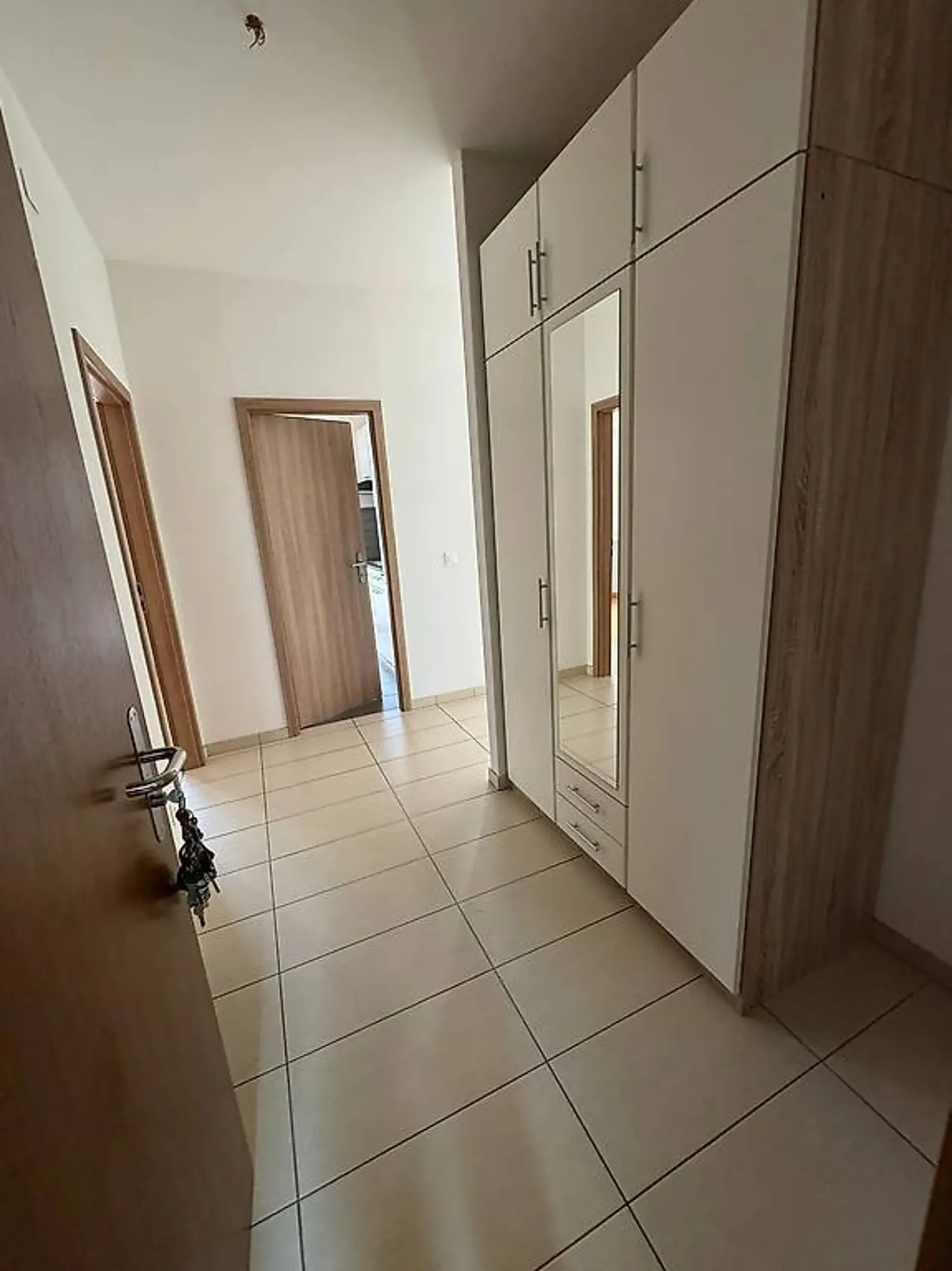 Affittasi appartamento 2.5 locali molto luminoso