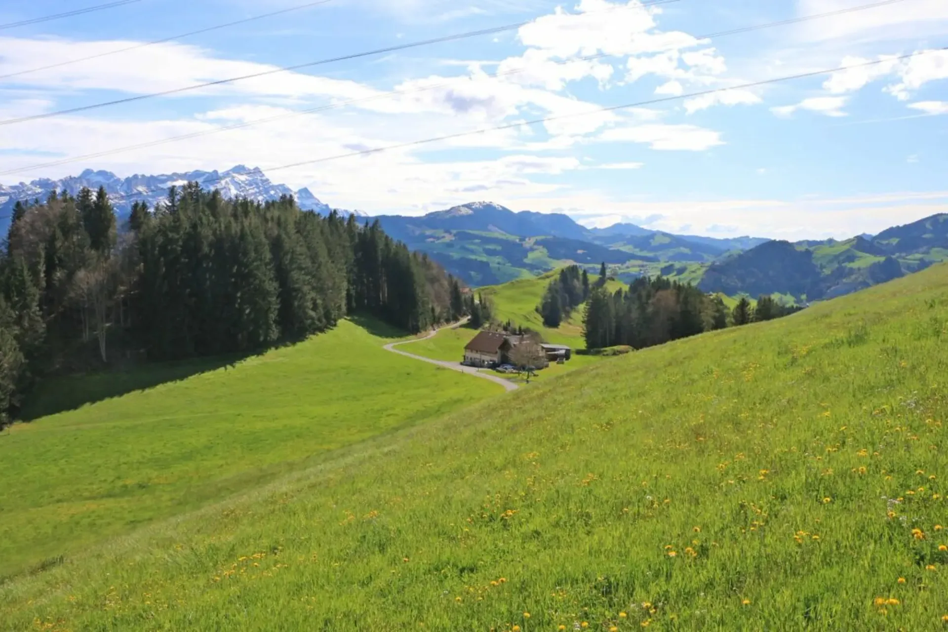 Exklusive Baulandparzellen in Brenden mit traumhafter Alpstein-Panoramasicht