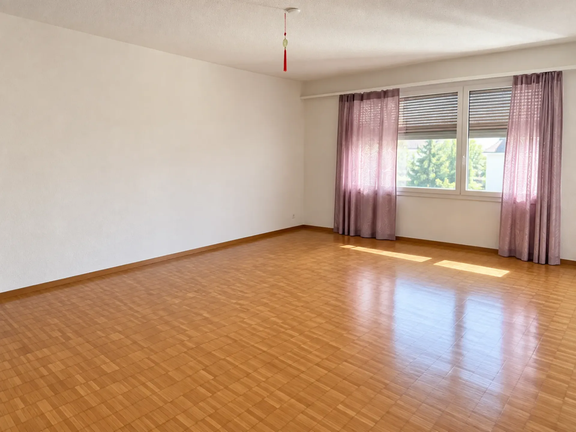 Charming 2.5-room apartment with balcony in Dietikon